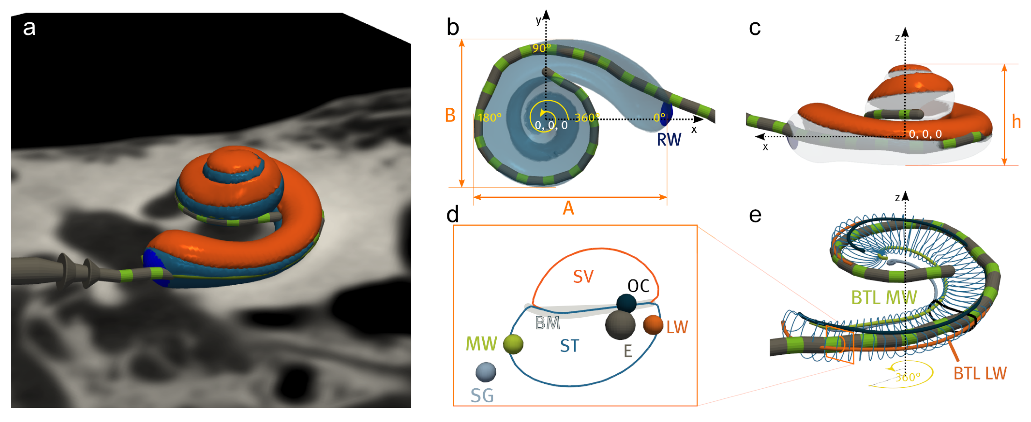 Jcm 11 06640 g006 Jcm 11 06640 g006