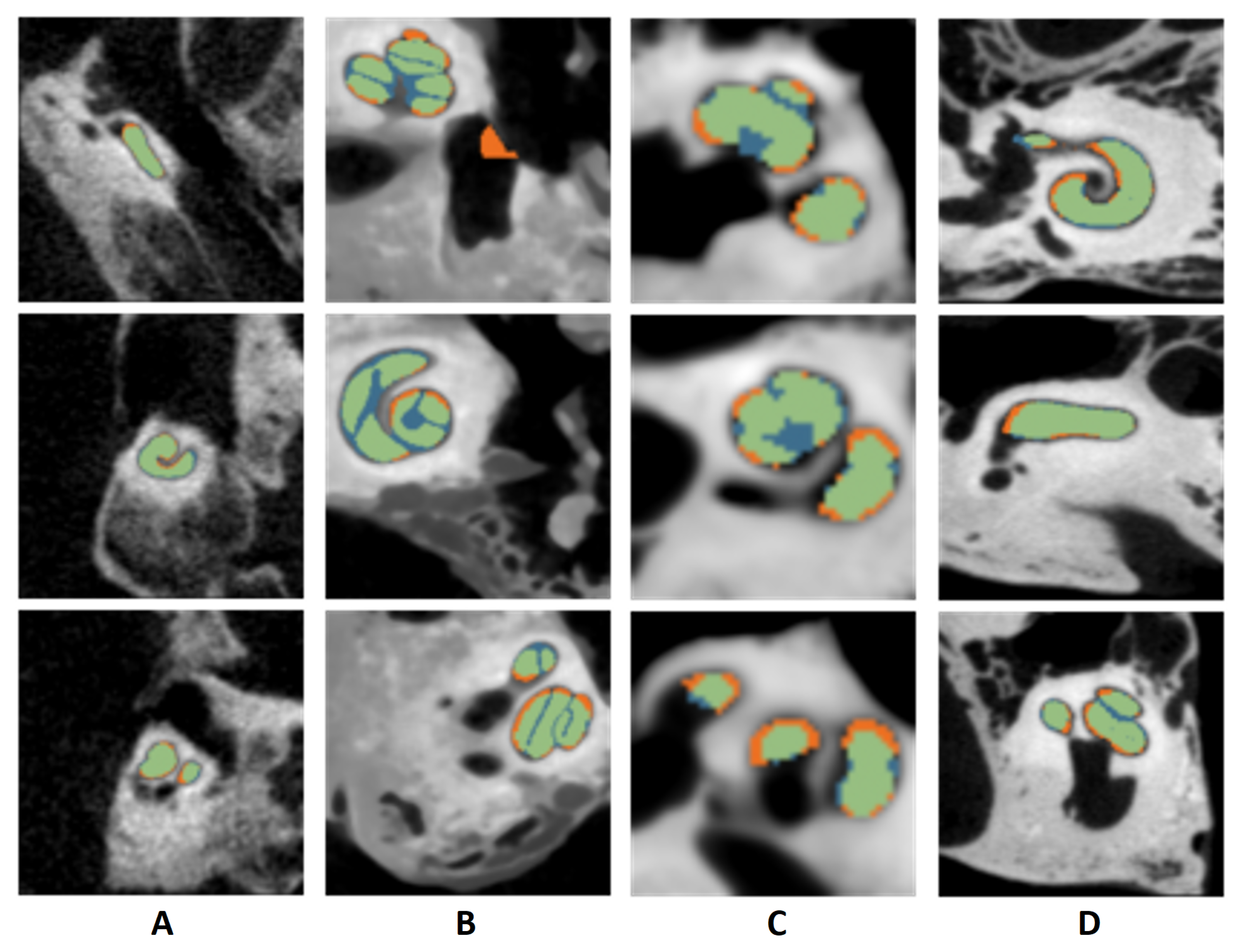 Jcm 11 06640 g007 Jcm 11 06640 g007