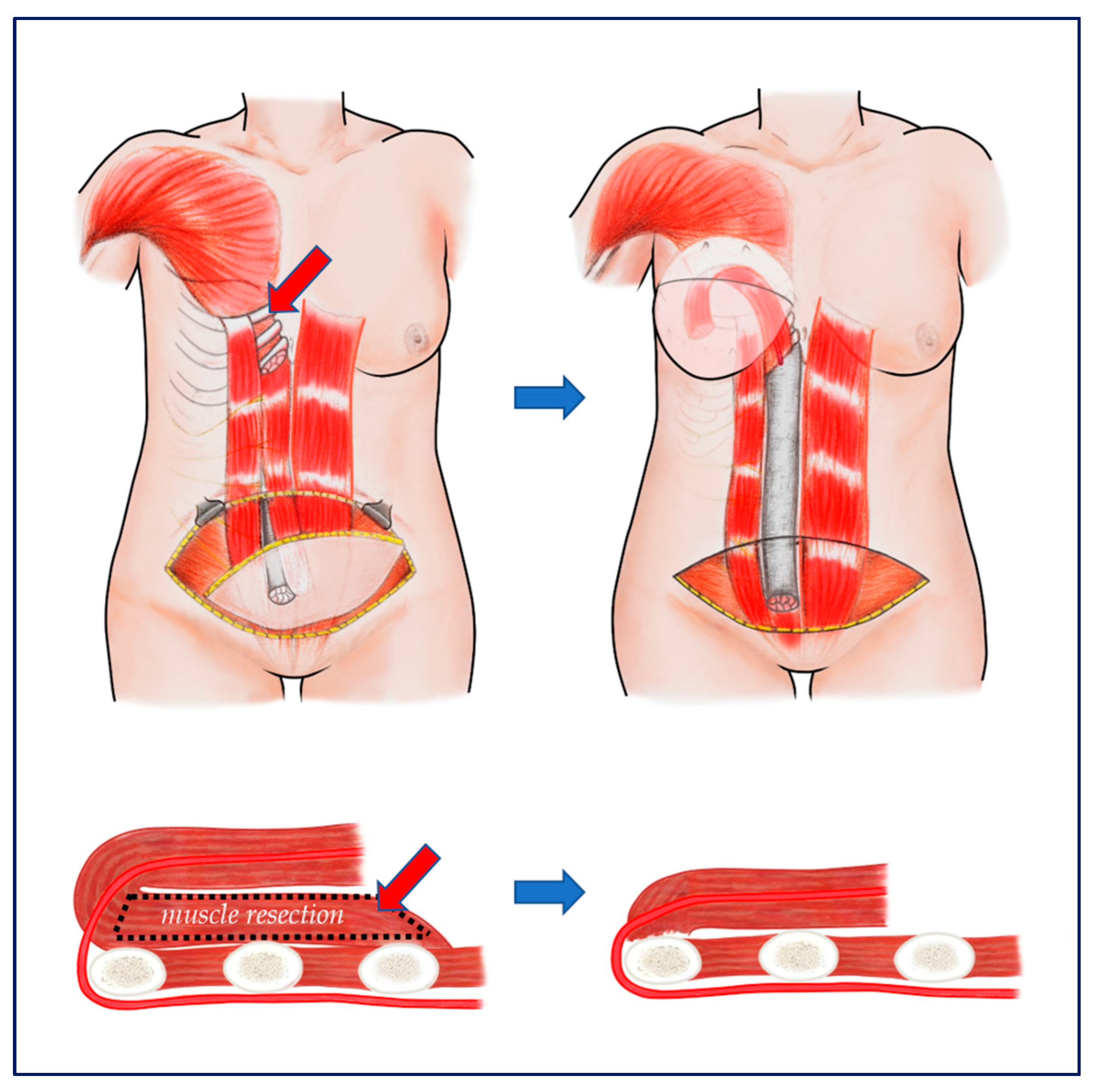 Jcm 11 06647 g006 Jcm 11 06647 g006