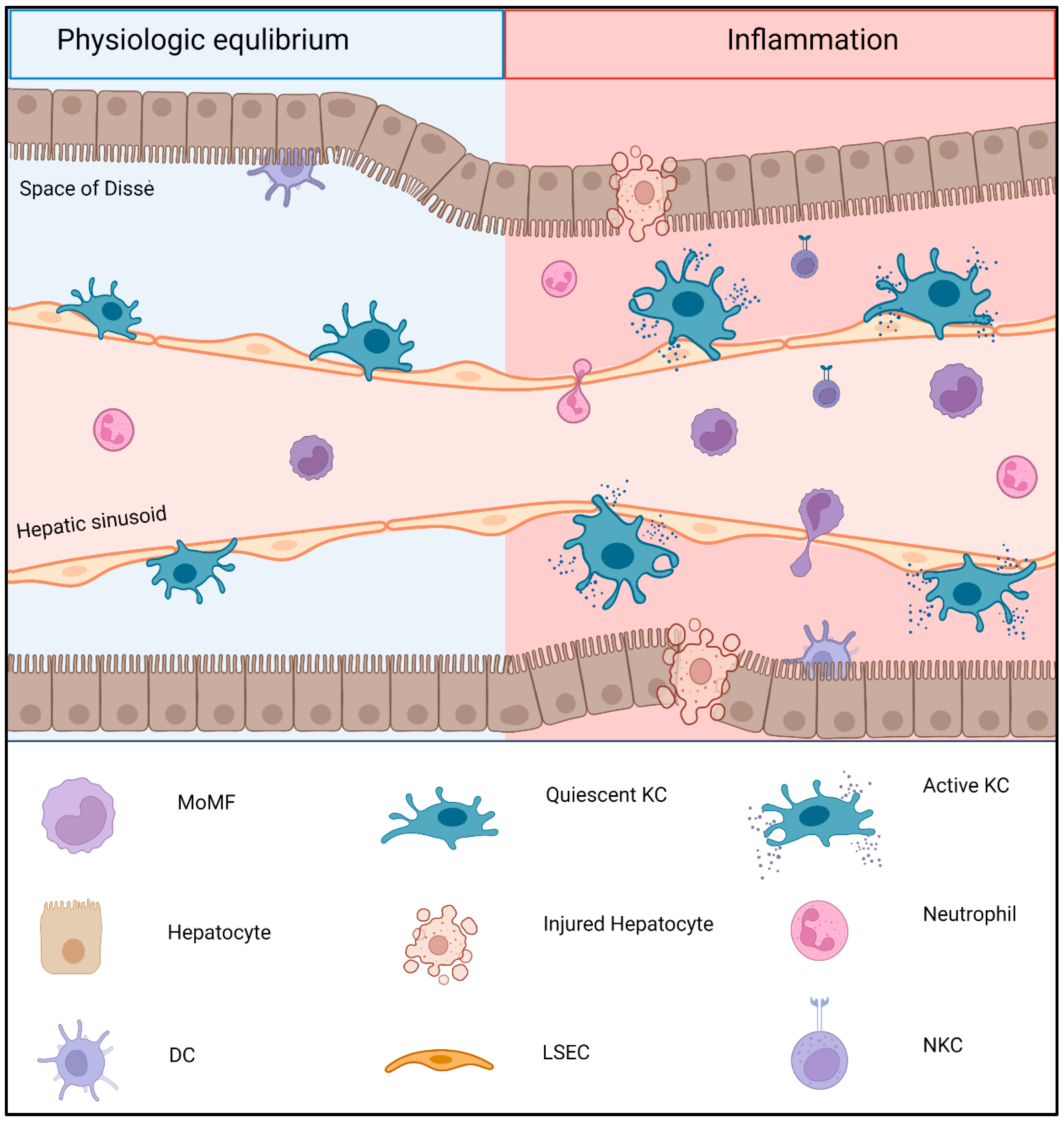 Jcm 11 06669 g001 Jcm 11 06669 g001