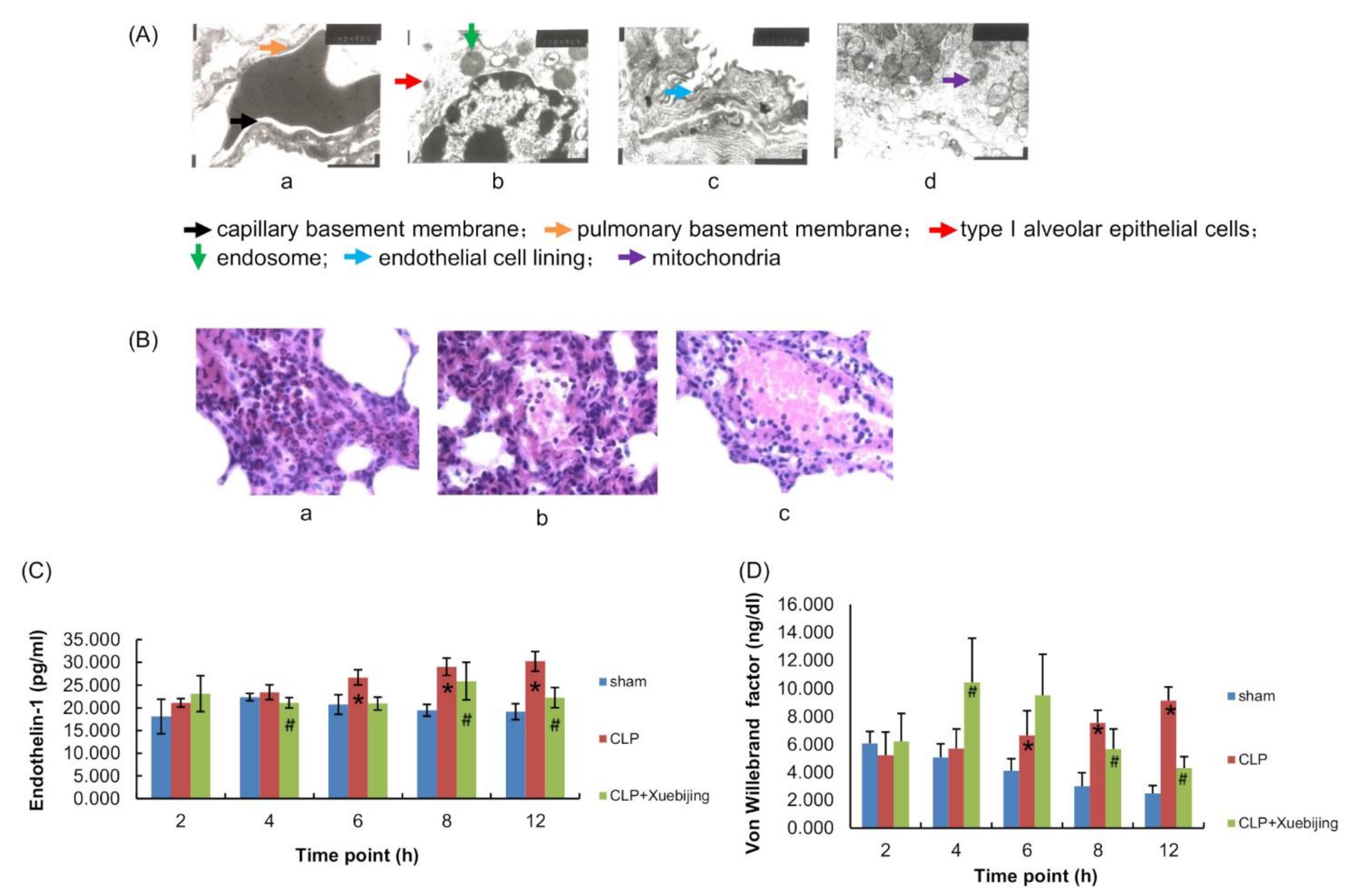 Jcm 11 06696 g002 Jcm 11 06696 g002