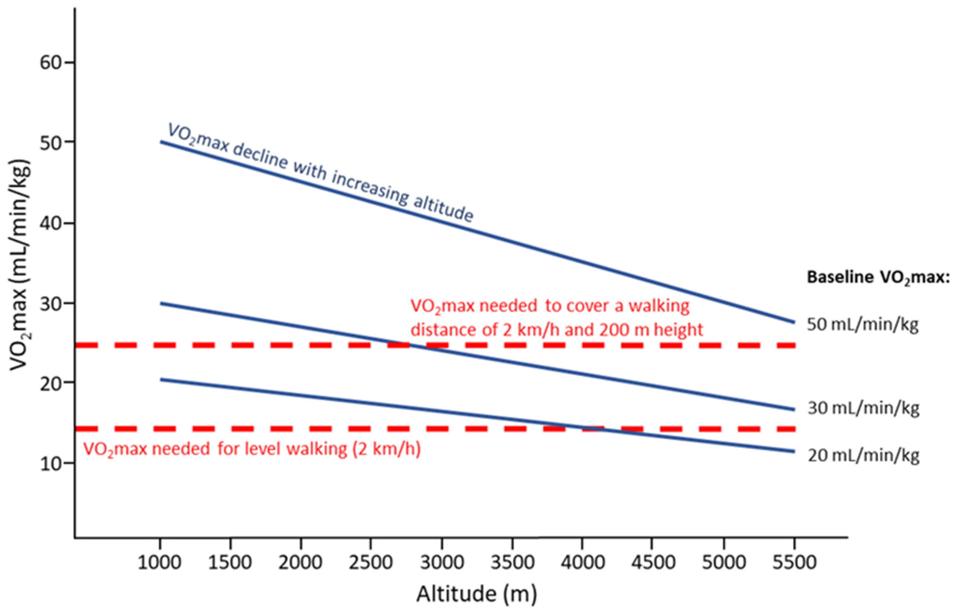 Jcm 11 06699 g002 Jcm 11 06699 g002