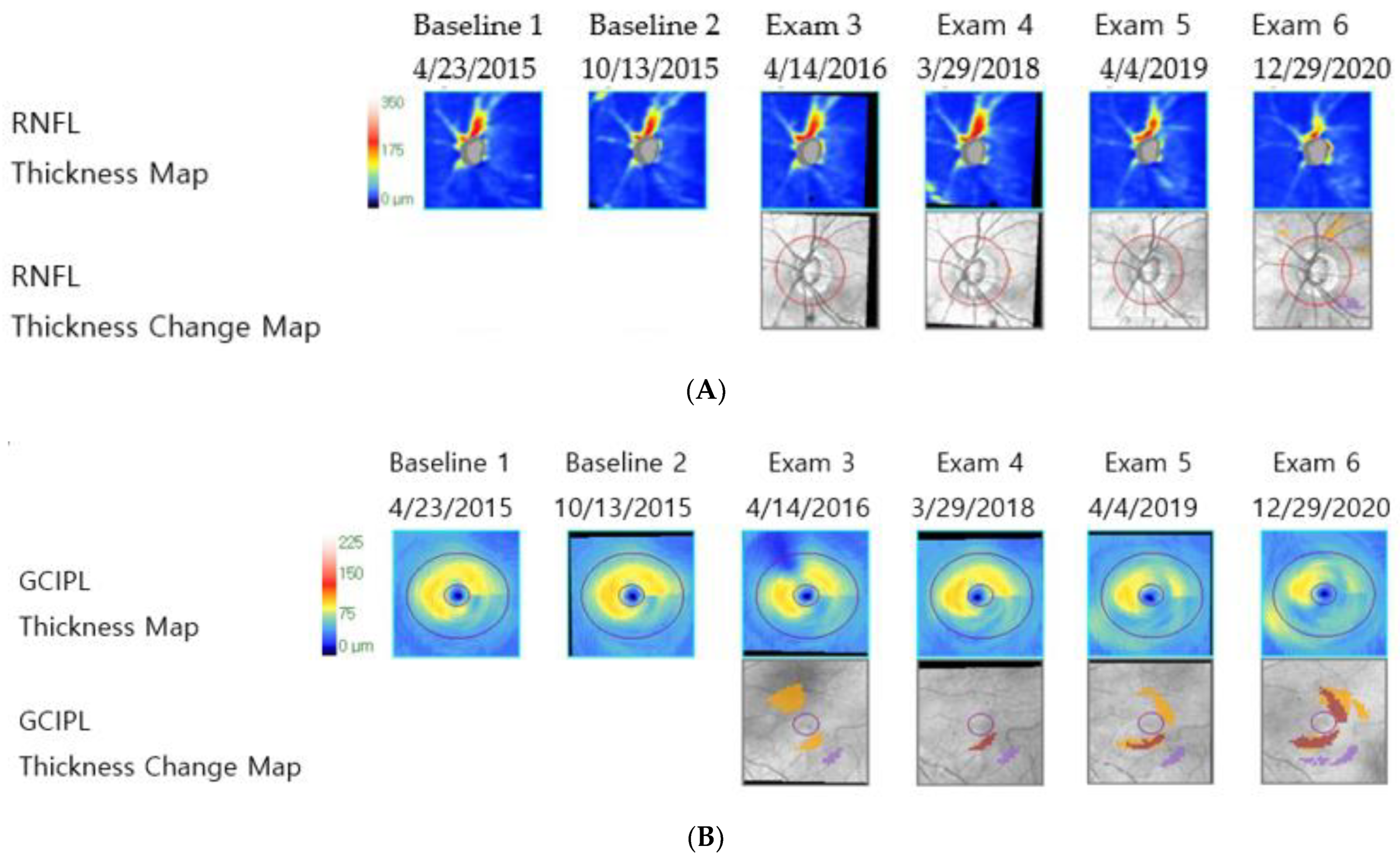 Jcm 11 06728 g002a Jcm 11 06728 g002a