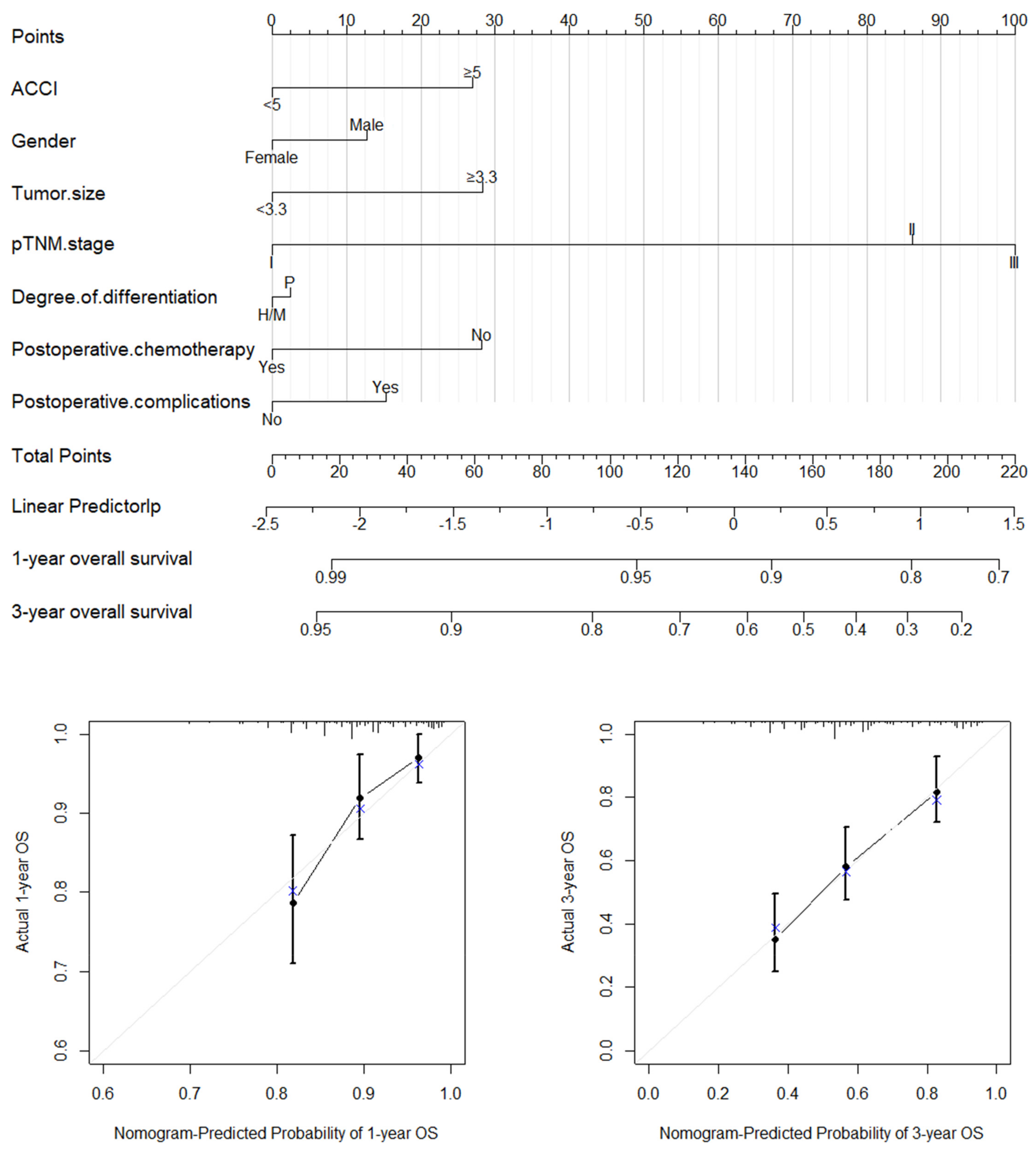 Jcm 11 06737 g002 Jcm 11 06737 g002