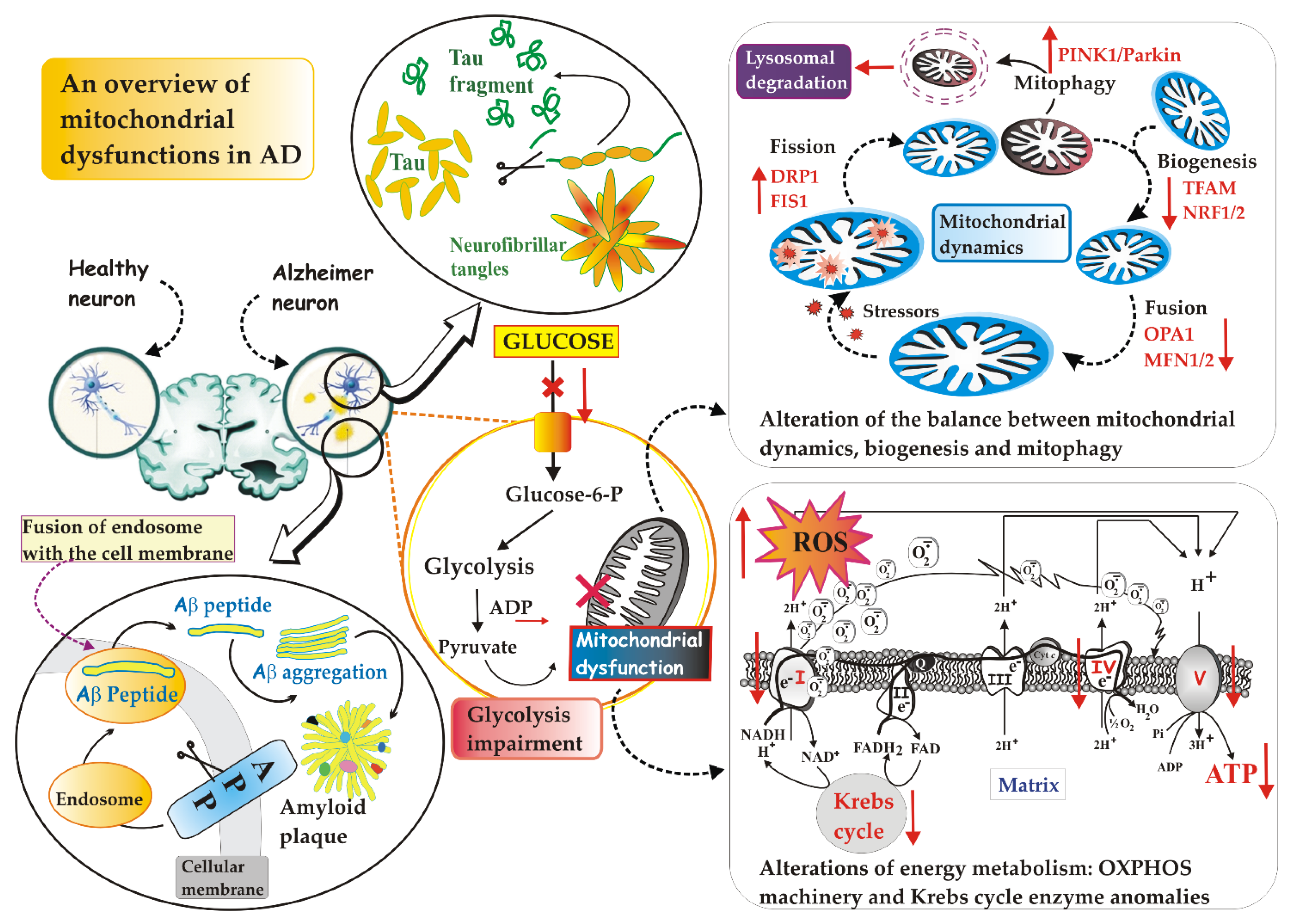 Jcm 11 06742 g001 Jcm 11 06742 g001