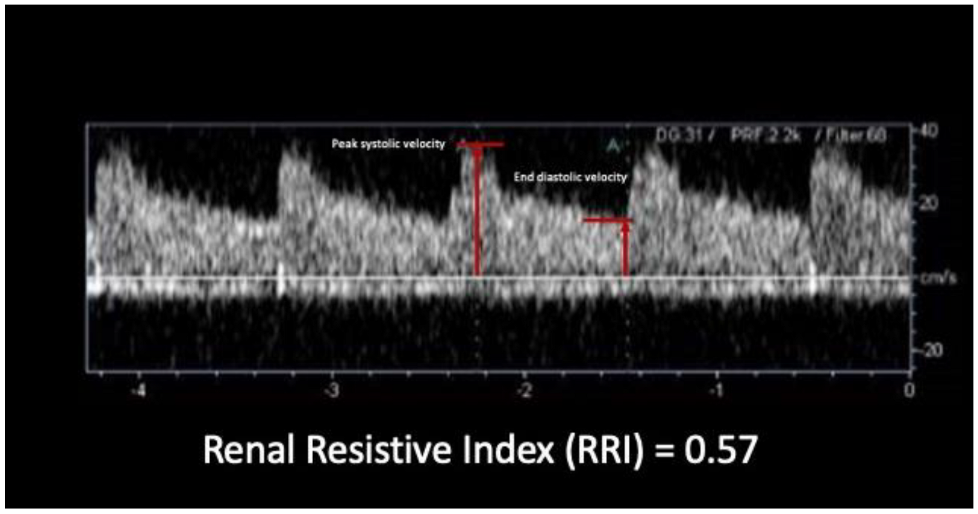 Jcm 11 06752 g002 Jcm 11 06752 g002