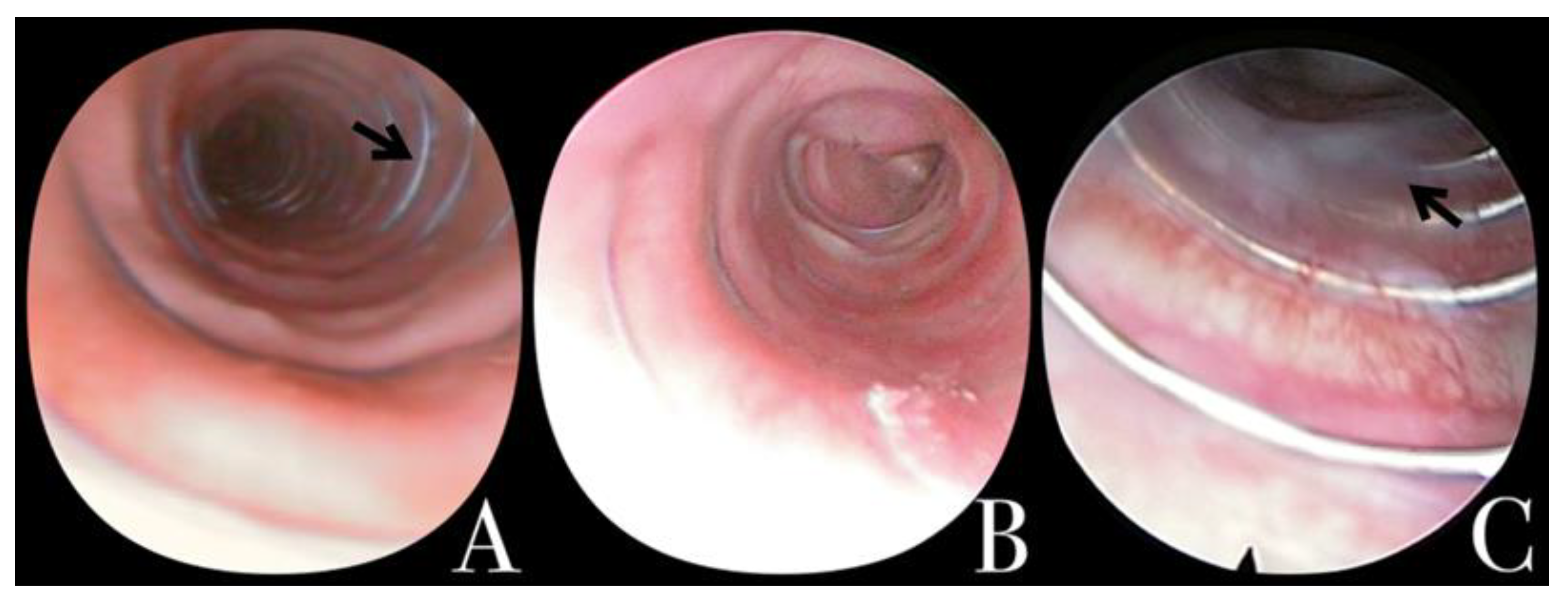 Jcm 11 06757 g001 Jcm 11 06757 g001