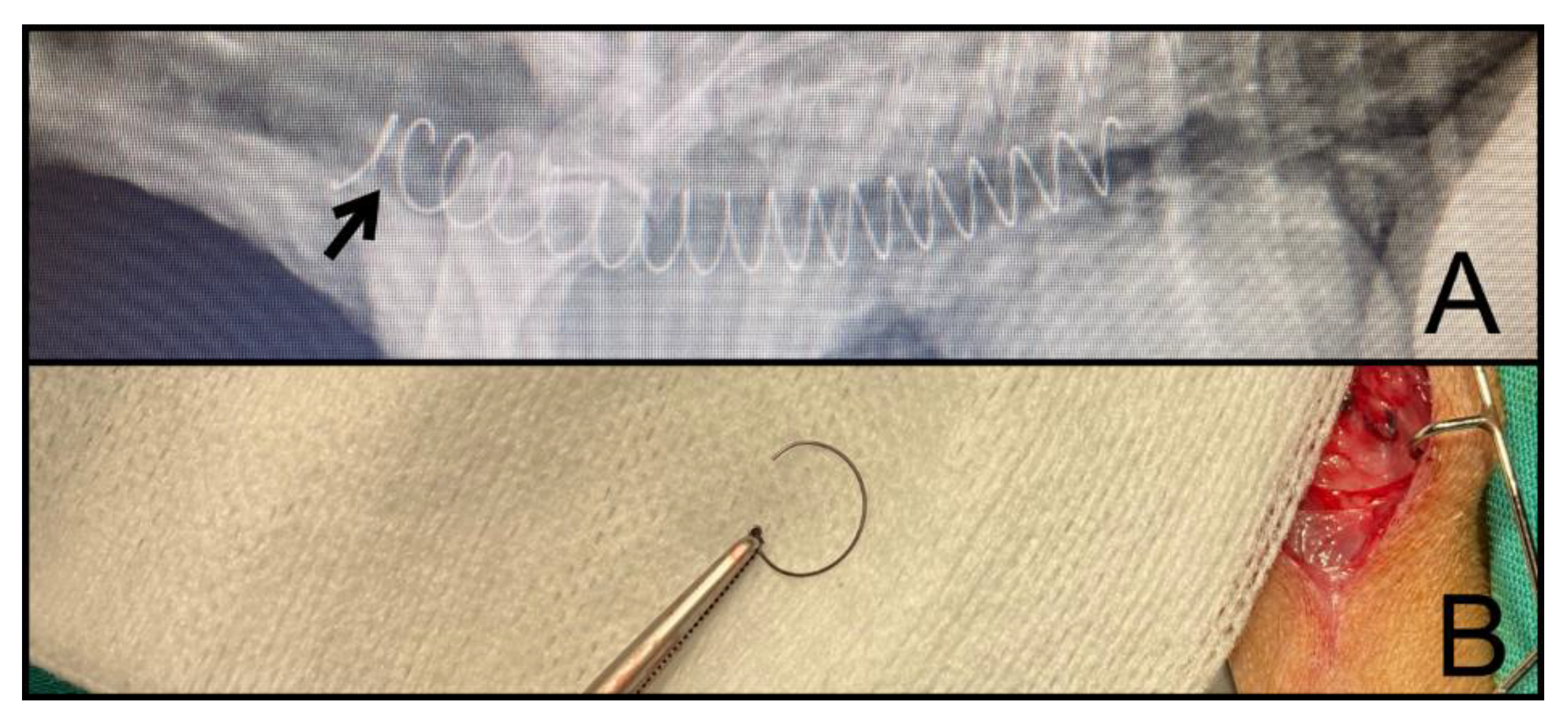 Jcm 11 06757 g003 Jcm 11 06757 g003