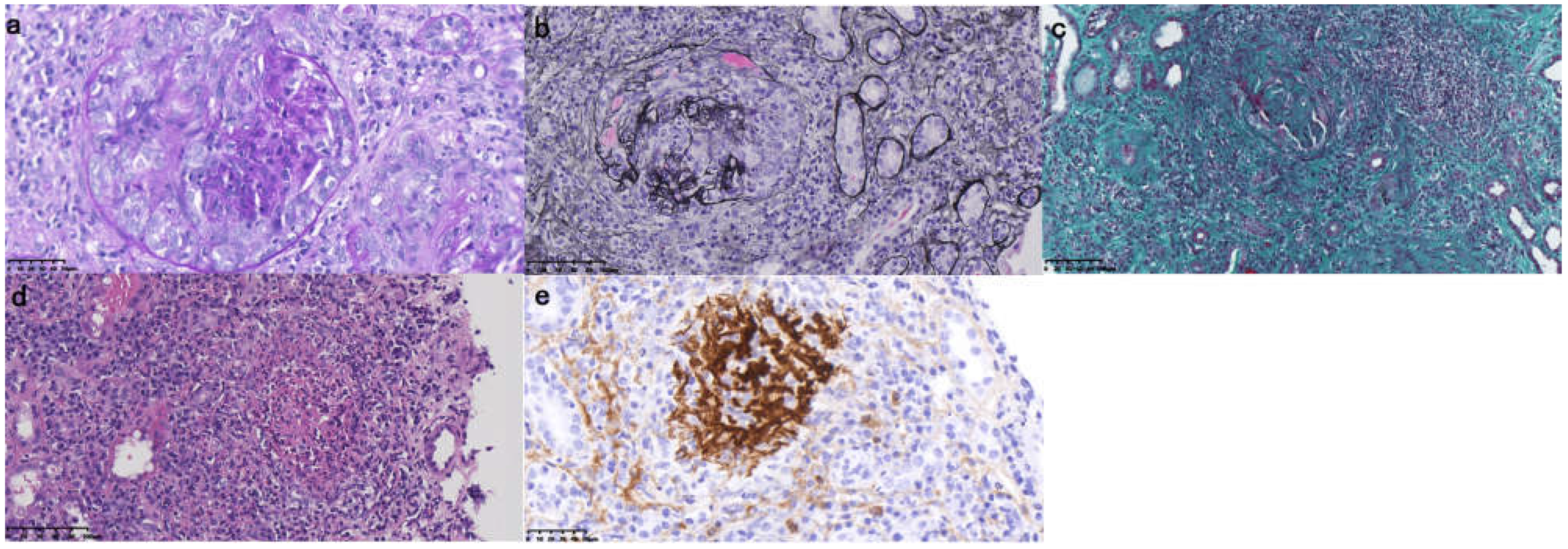 Jcm 11 06793 g001 Jcm 11 06793 g001