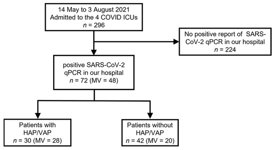 elfbar elfa master akku Common Pathogens in HAP/VAP