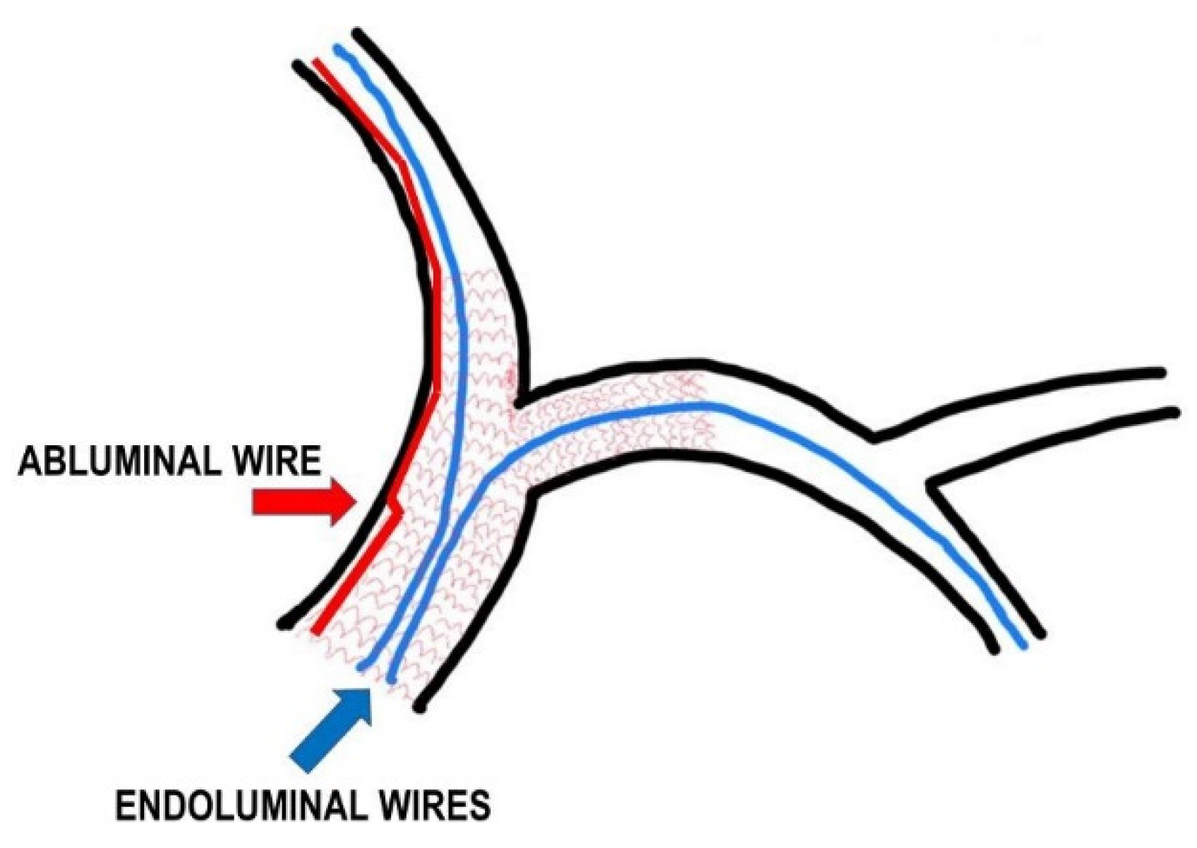 Jcm 11 06801 g005 Jcm 11 06801 g005