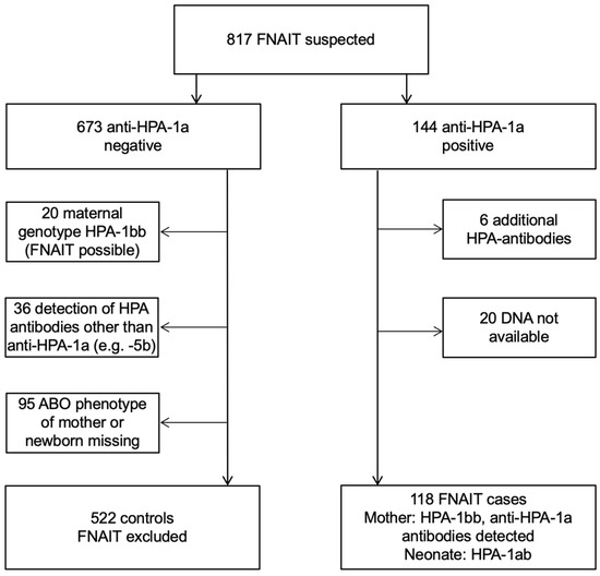 JCM Free FullText ABO between the Mother and Fetus