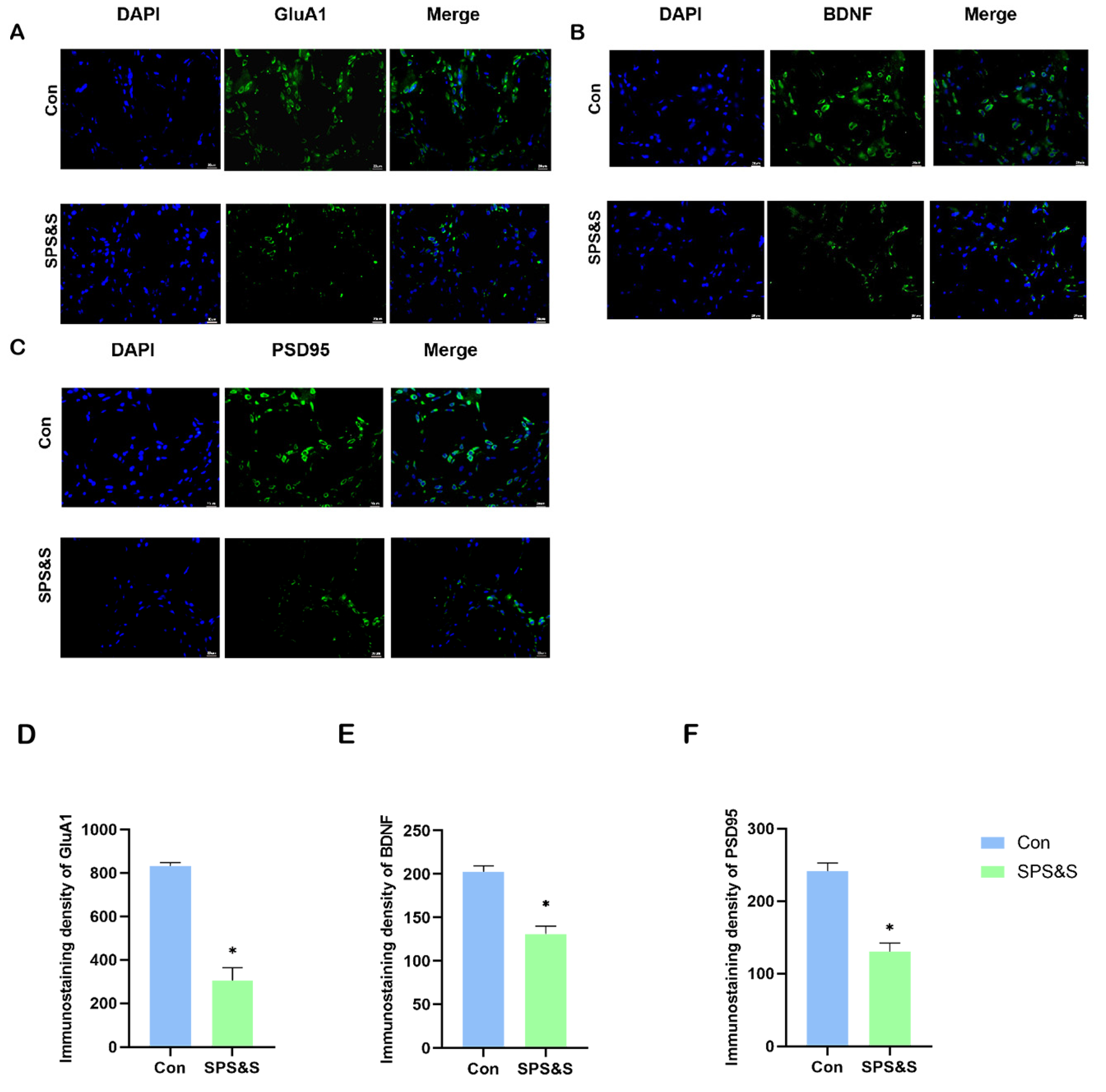 Jcm 11 06824 g004 Jcm 11 06824 g004