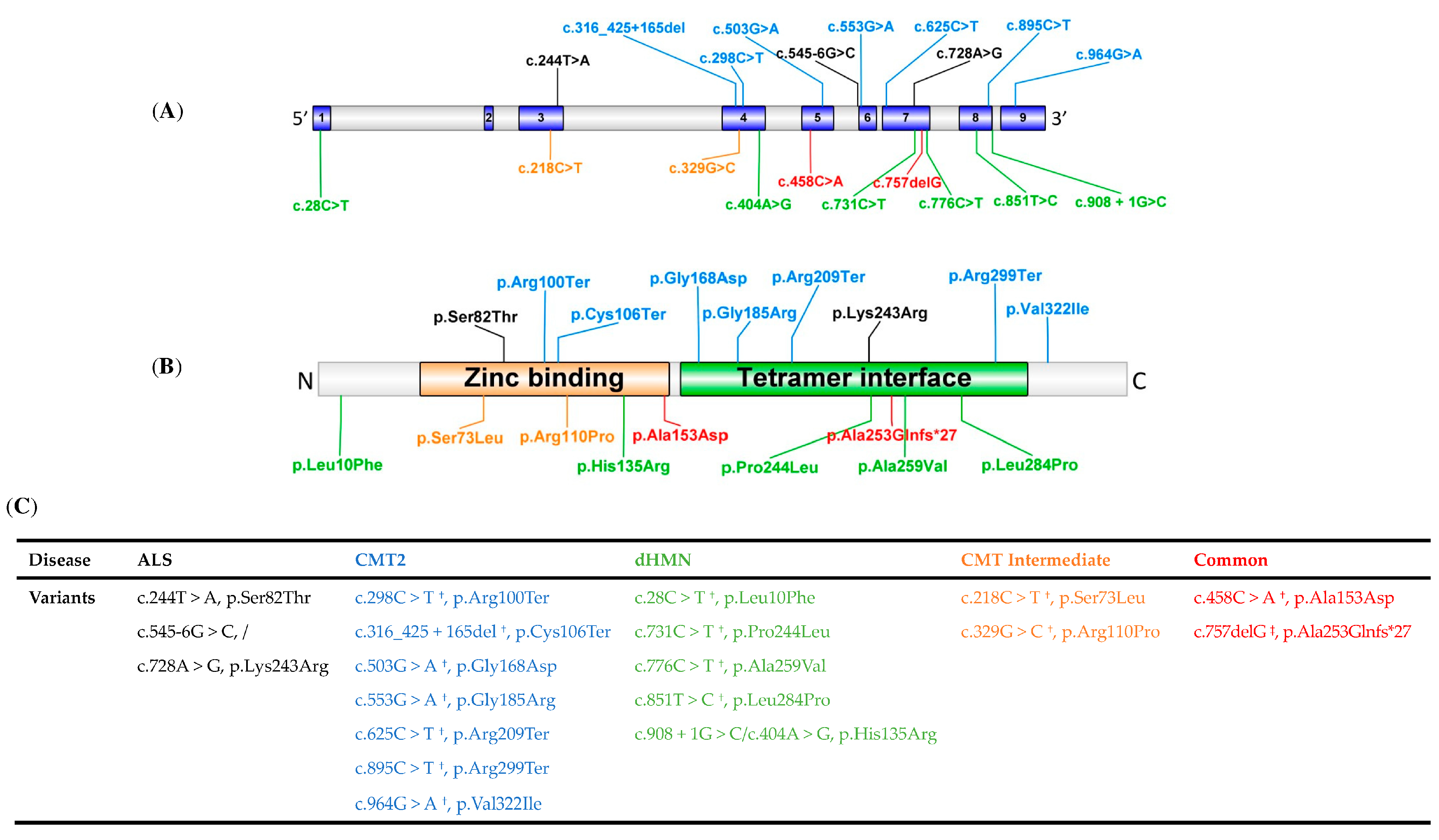 Jcm 11 06834 g001 Jcm 11 06834 g001