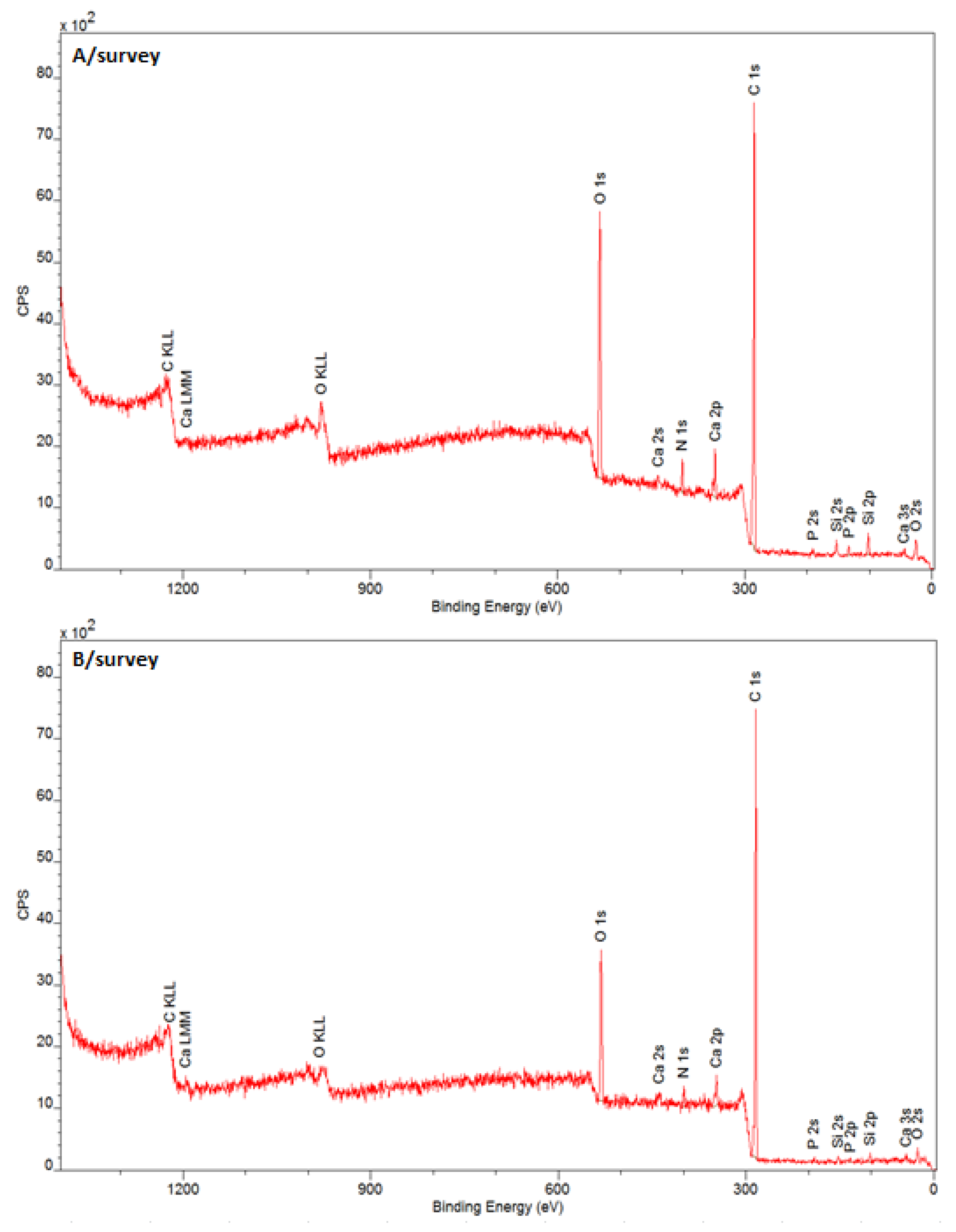 Jcm 11 06840 g001 Jcm 11 06840 g001