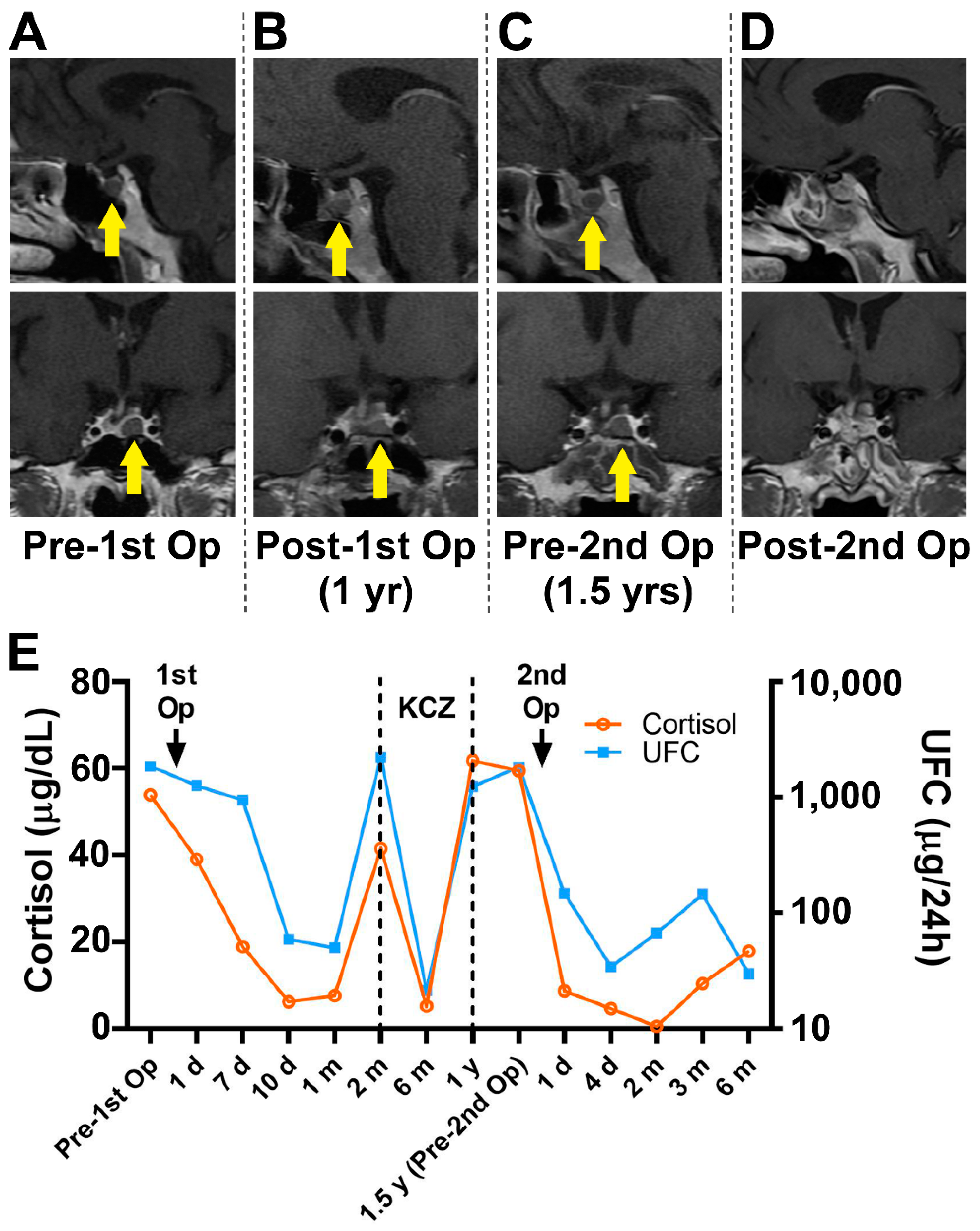 Jcm 11 06848 g002 Jcm 11 06848 g002