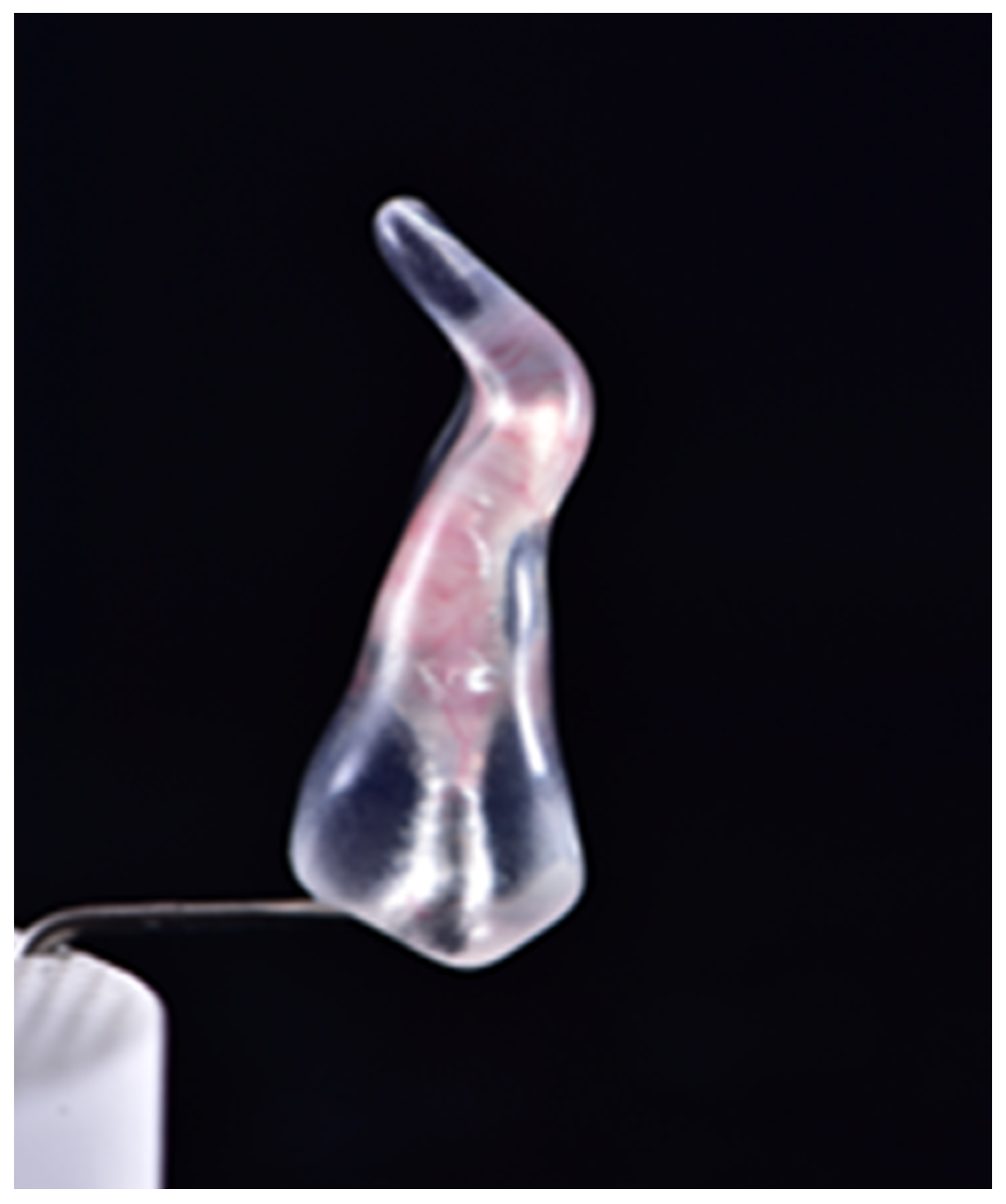 Jcm 11 06874 g001 550