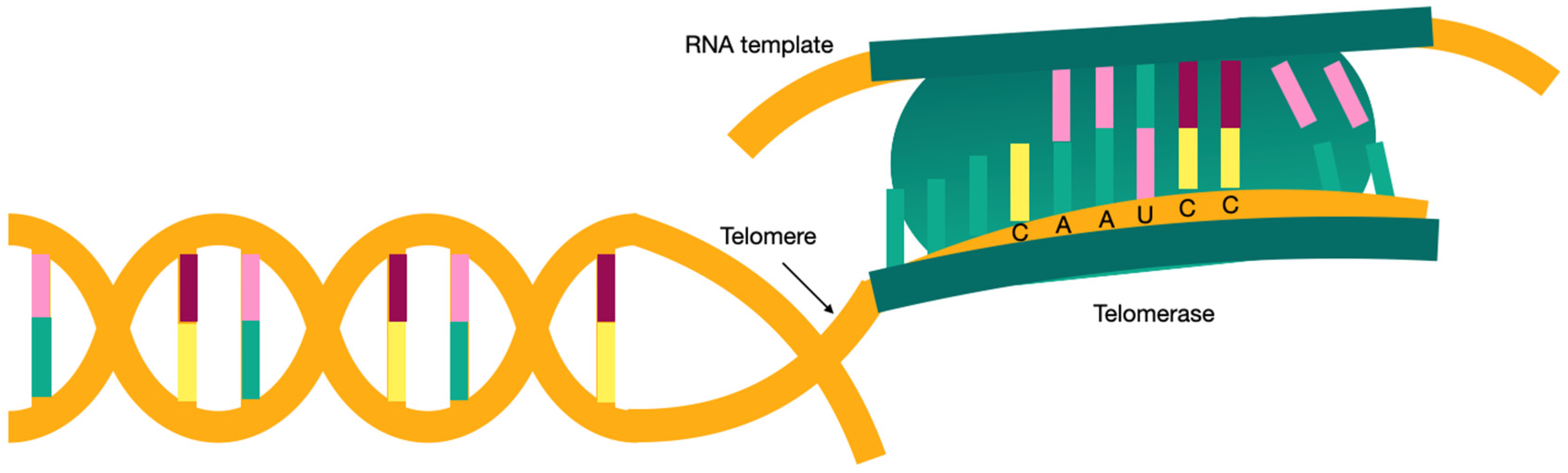 Jcm 11 06893 g001 Jcm 11 06893 g001