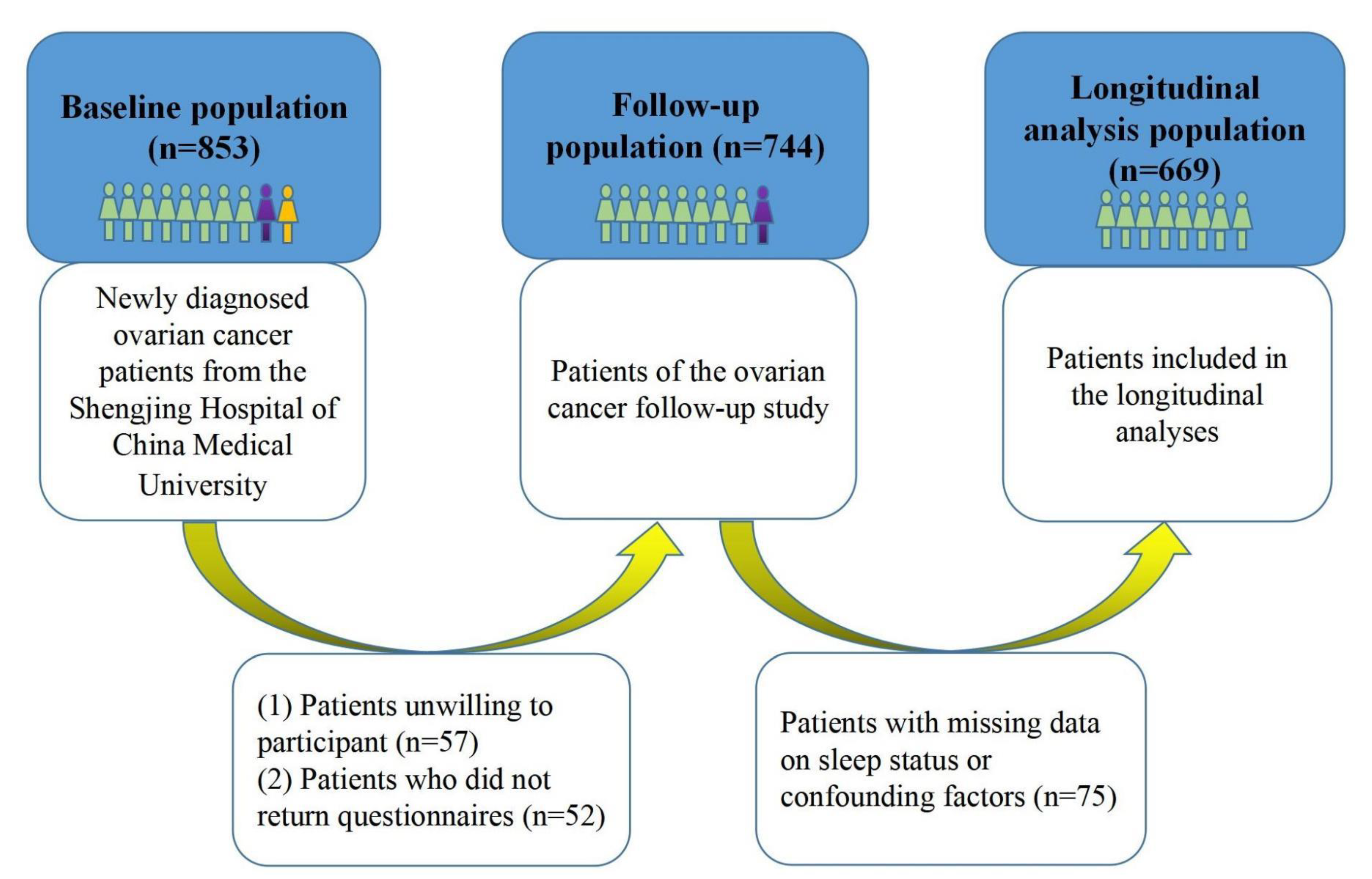 Jcm 11 06914 g001 Jcm 11 06914 g001