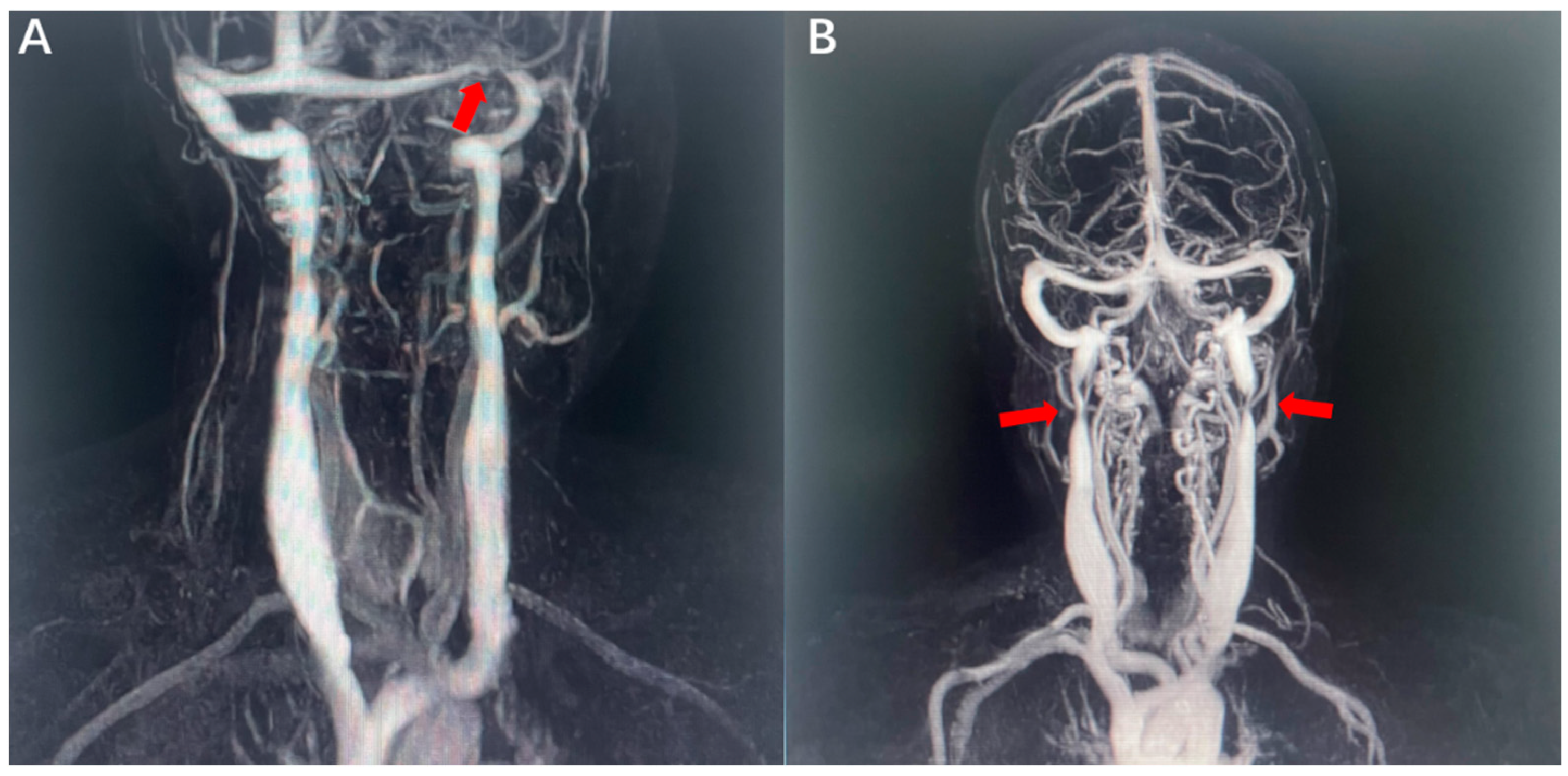 Jcm 11 06927 g001 Jcm 11 06927 g001