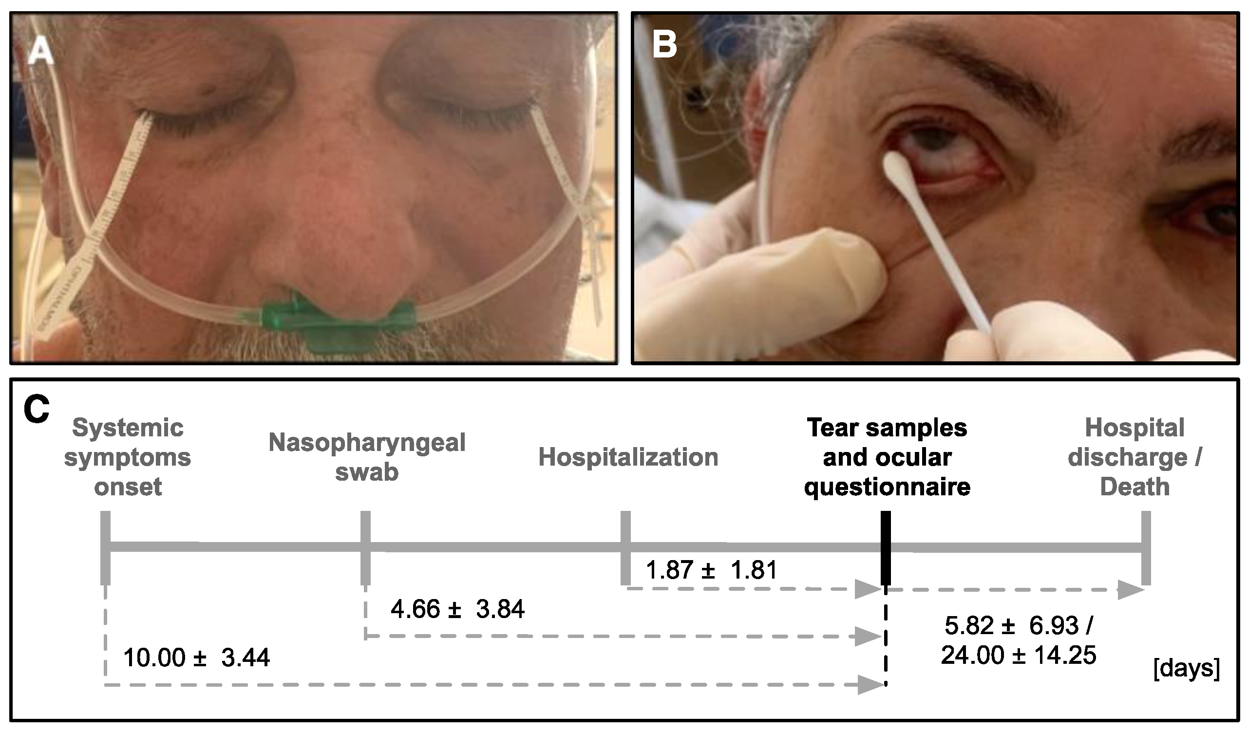 Jcm 11 06929 g001 Jcm 11 06929 g001