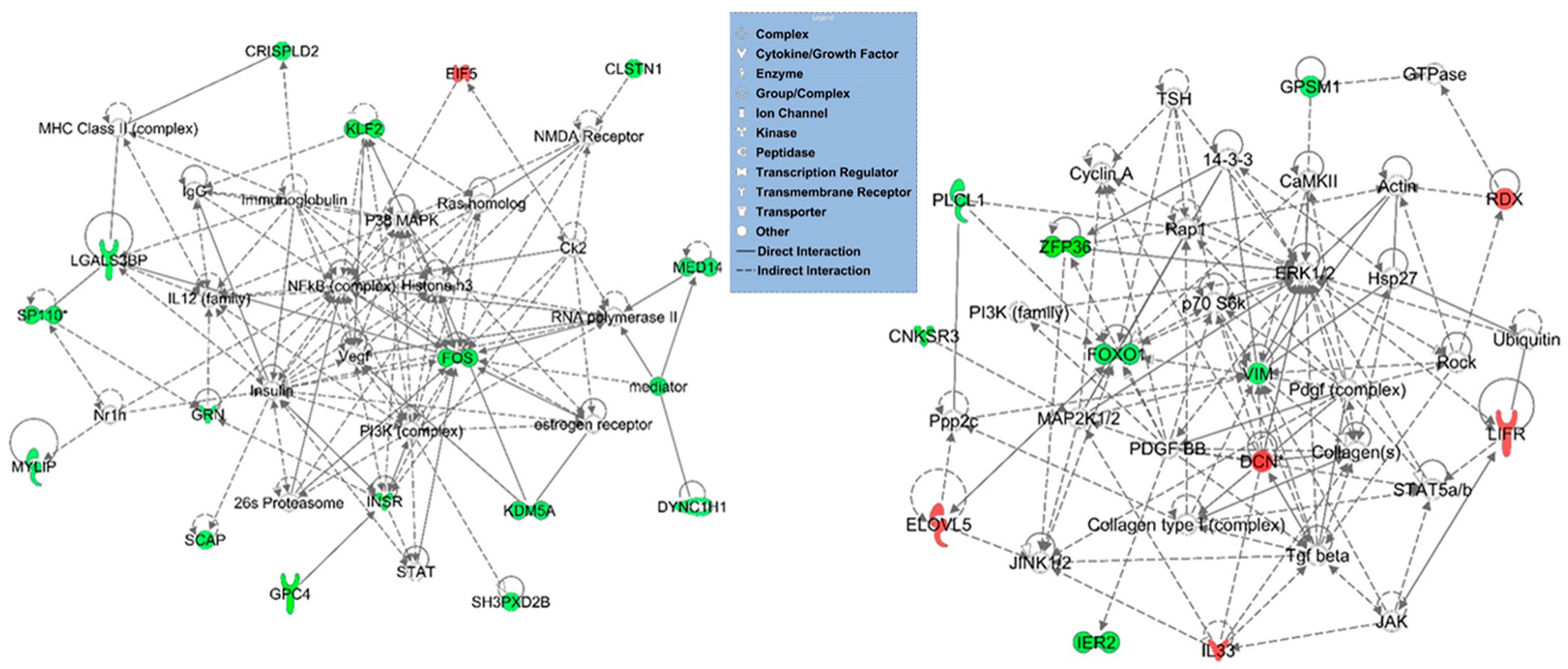 Jcm 11 06941 g002 Jcm 11 06941 g002