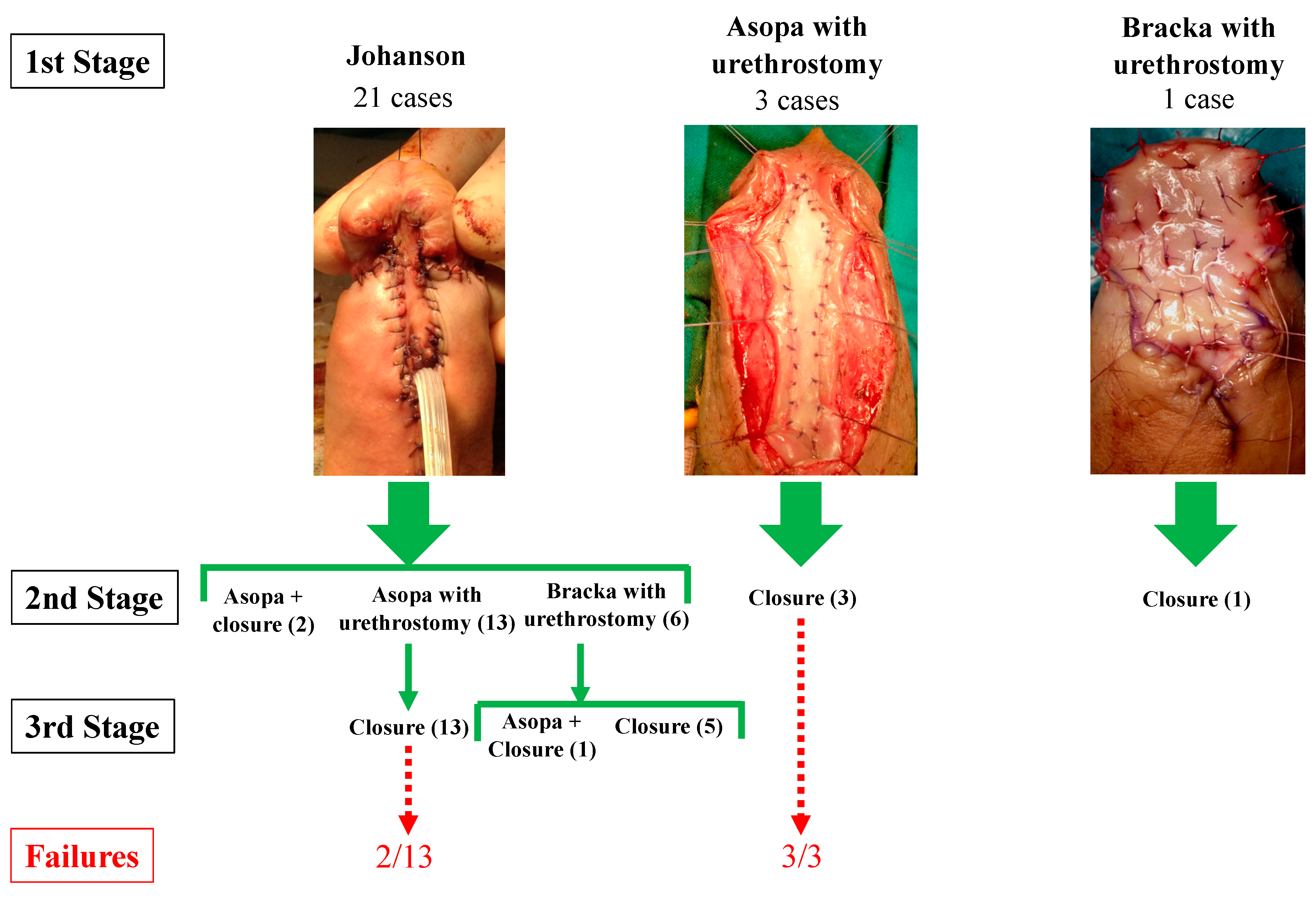 Jcm 11 06961 g001 Jcm 11 06961 g001