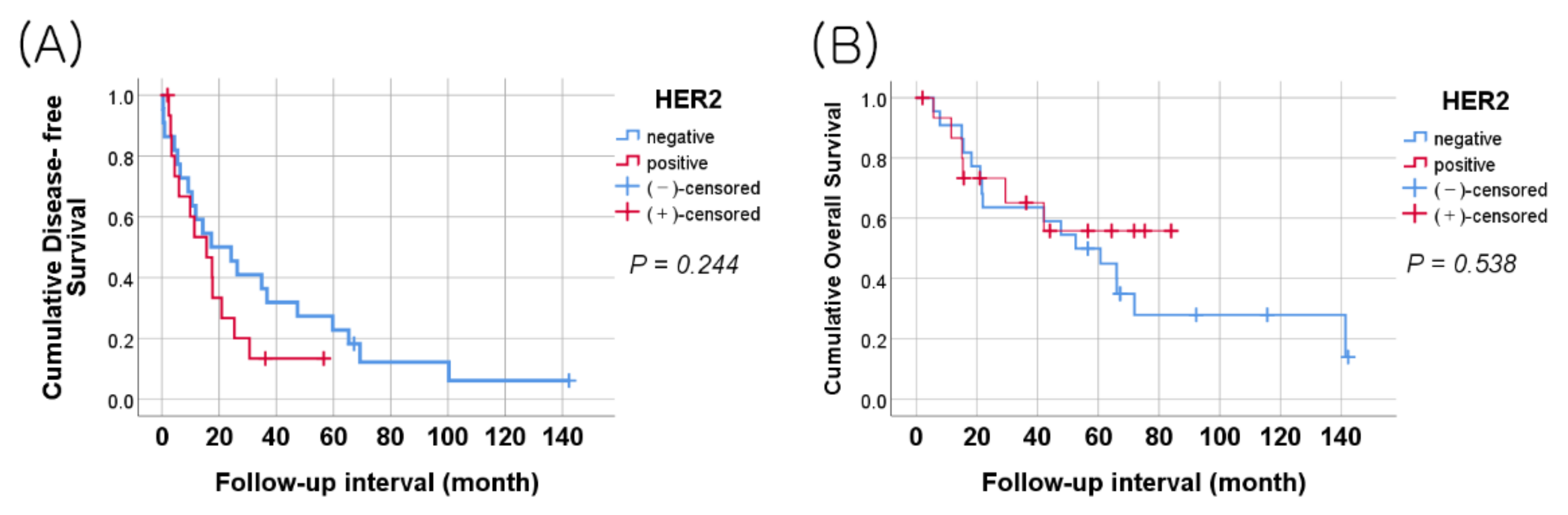 Jcm 11 06963 g001 Jcm 11 06963 g001