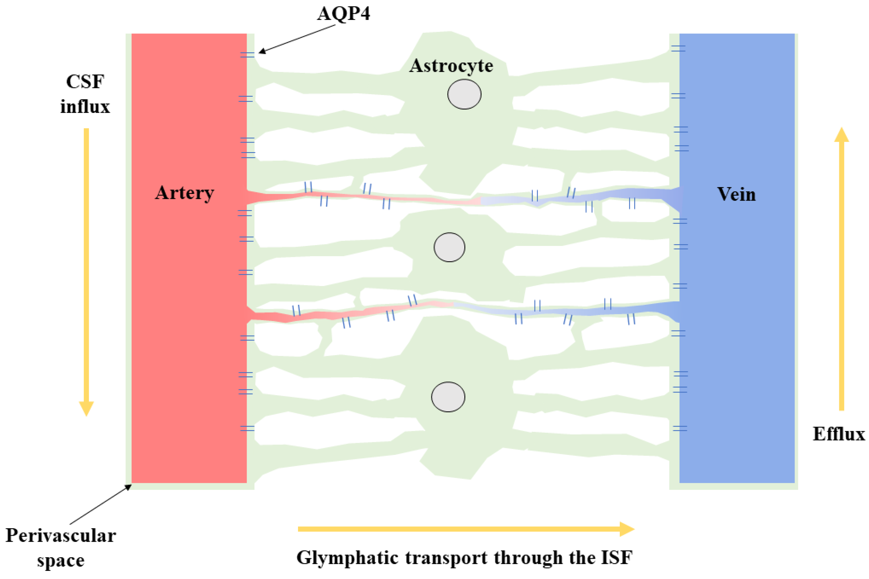 Jcm 11 06964 g001 Jcm 11 06964 g001