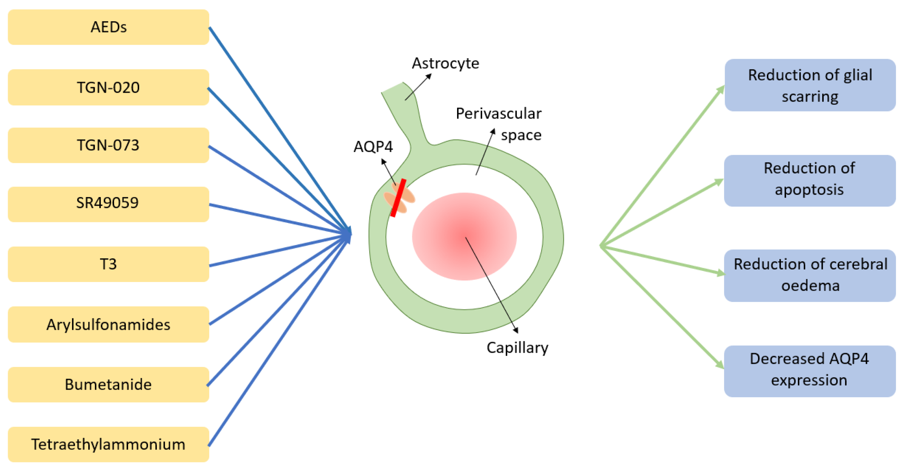 Jcm 11 06964 g002 Jcm 11 06964 g002