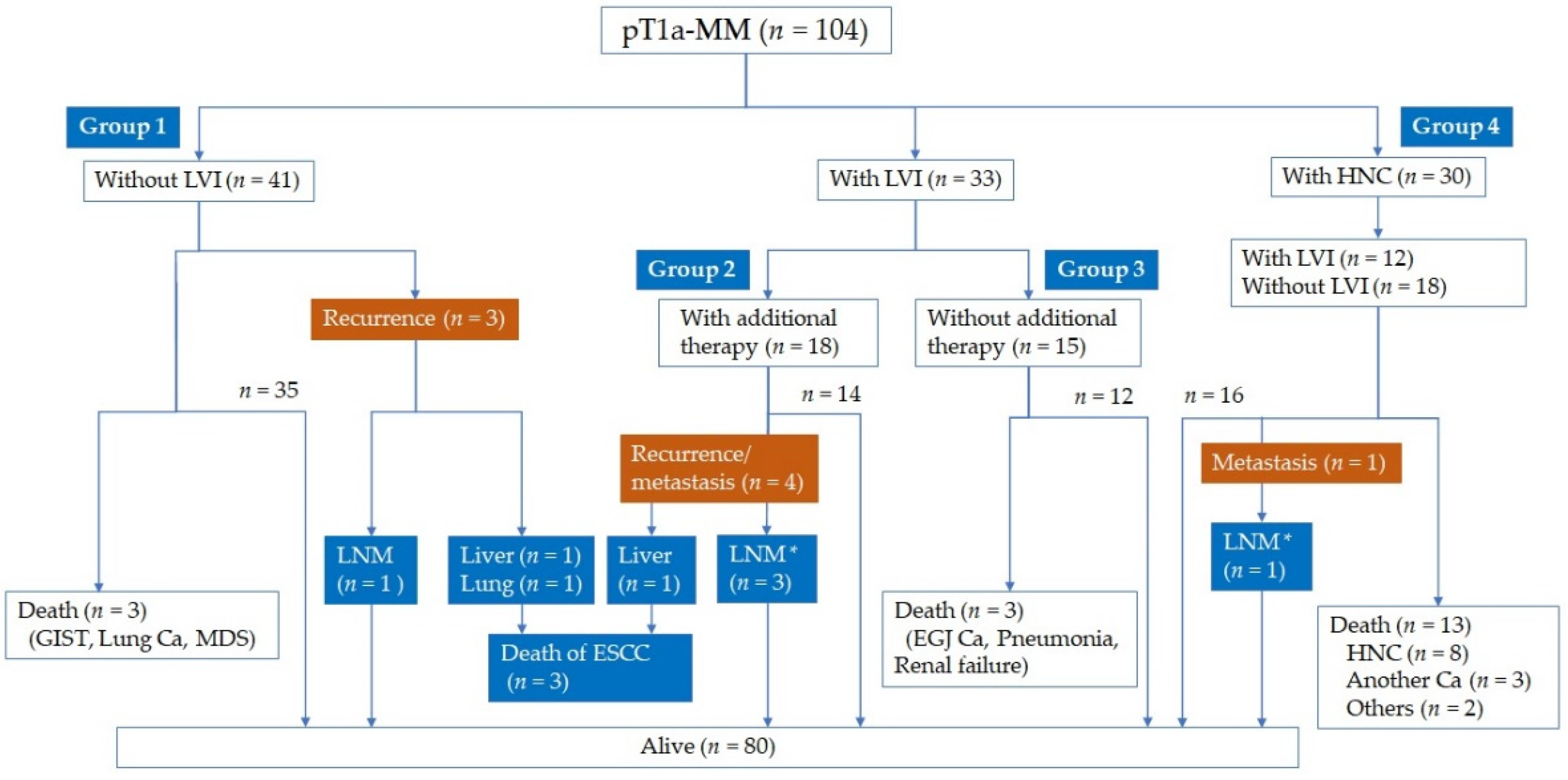 Jcm 11 06969 g001 Jcm 11 06969 g001