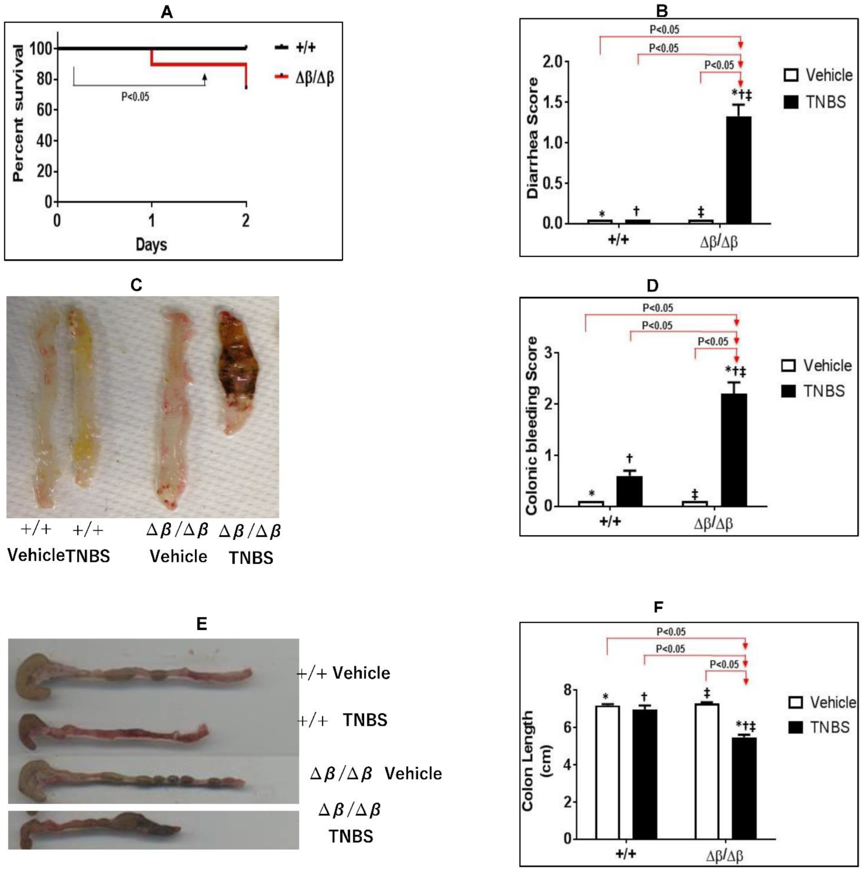 Jcm 11 07020 g001 Jcm 11 07020 g001