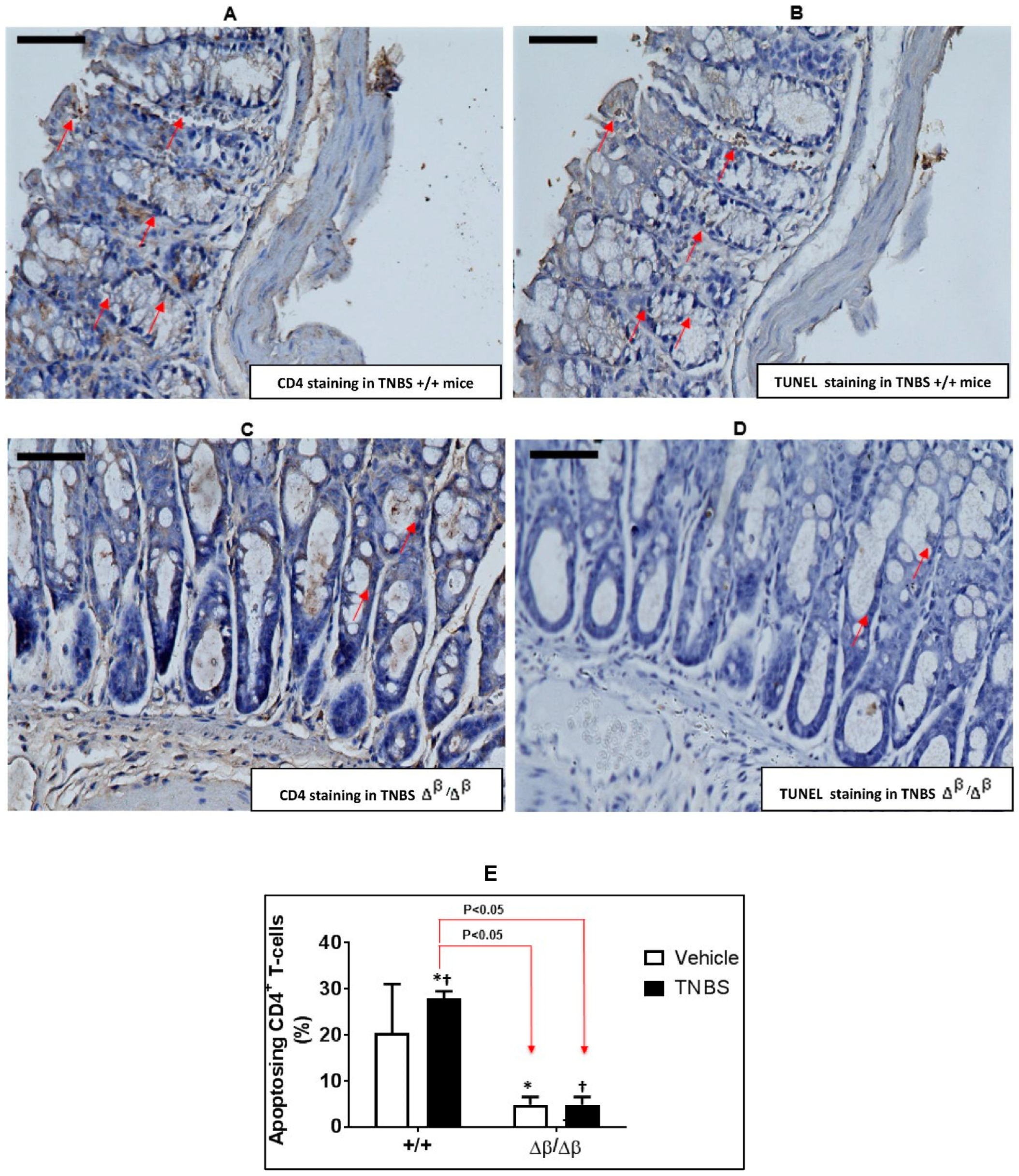 Jcm 11 07020 g002 Jcm 11 07020 g002