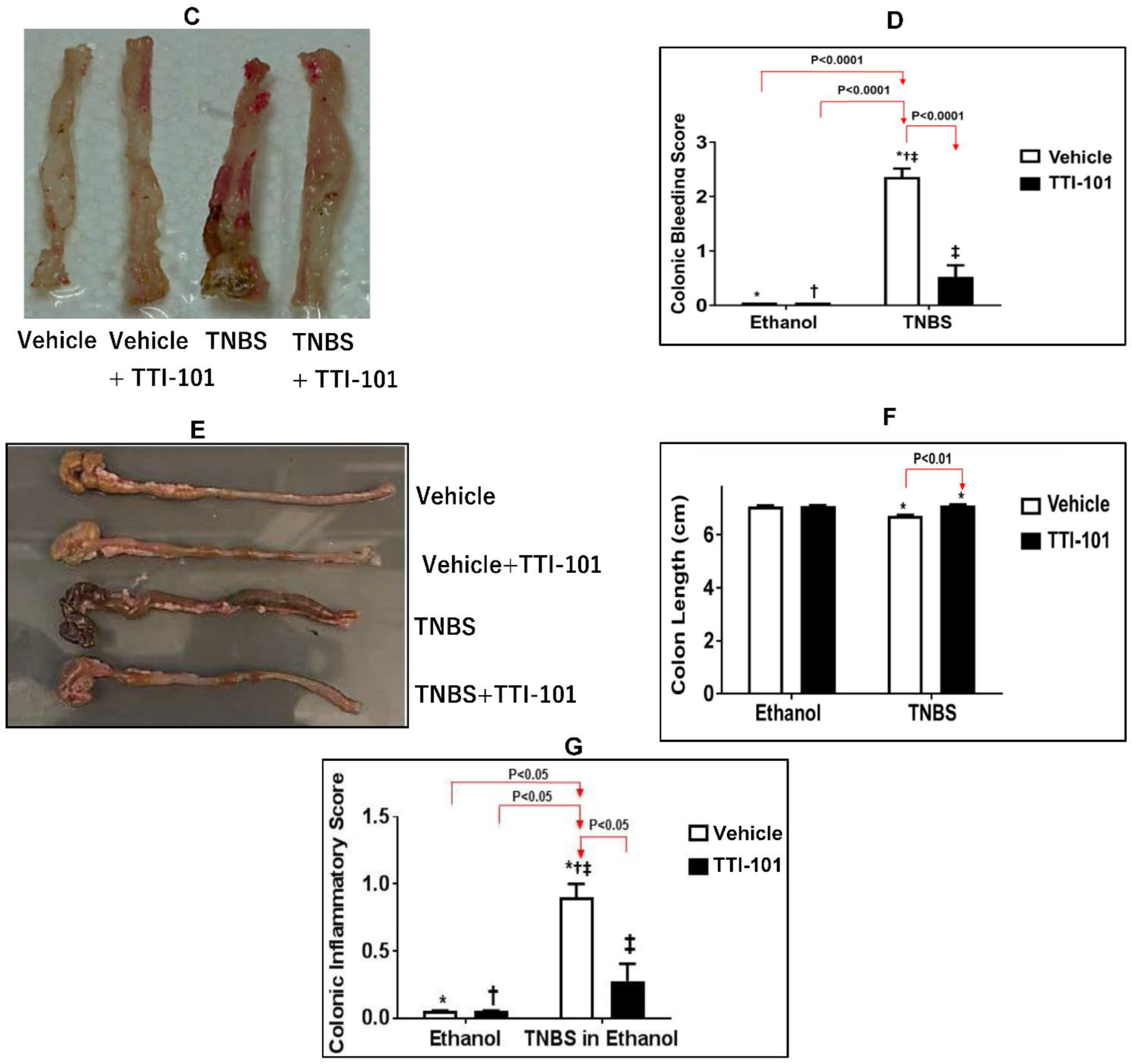 Jcm 11 07020 g003b Jcm 11 07020 g003b