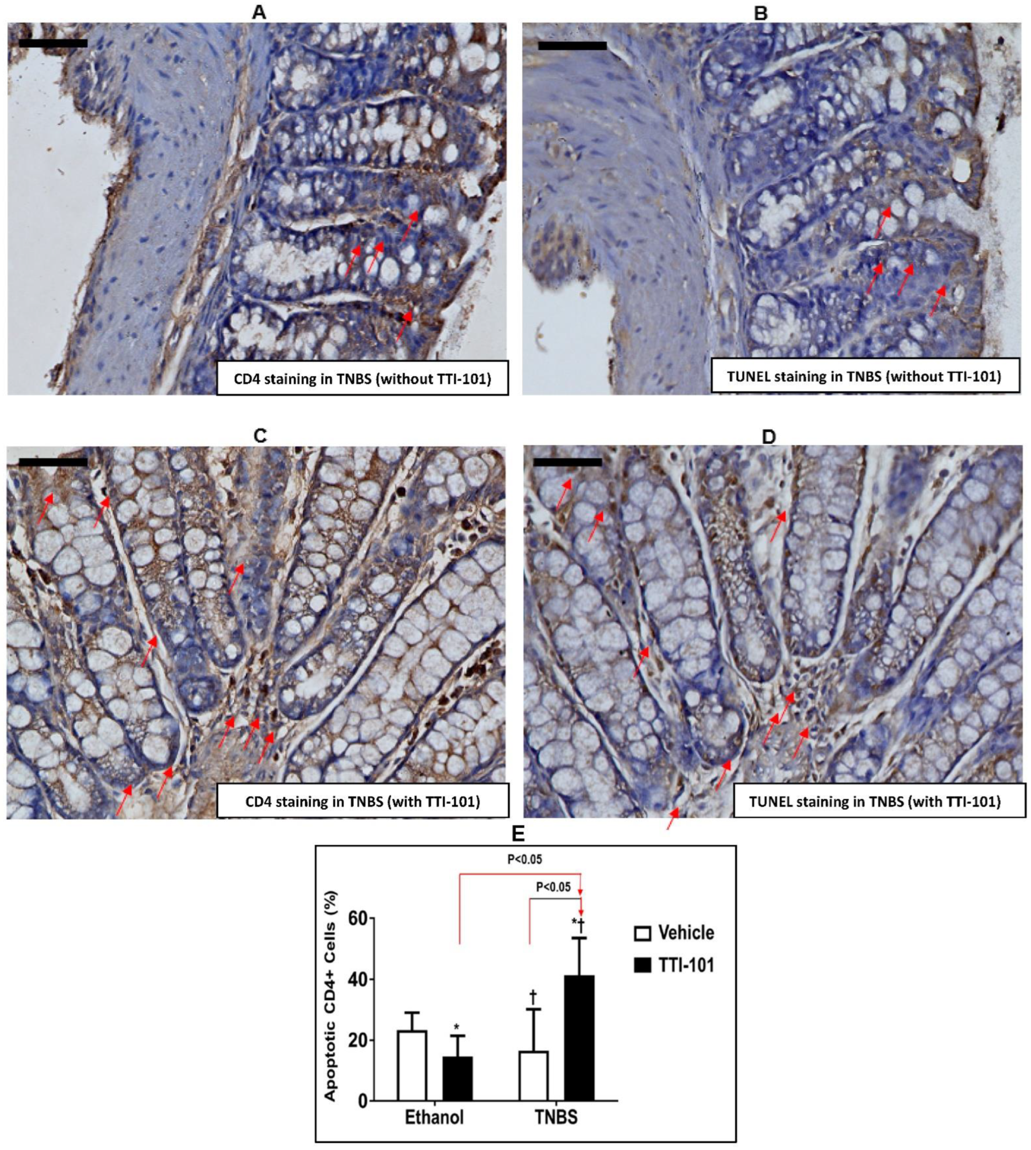Jcm 11 07020 g004 Jcm 11 07020 g004
