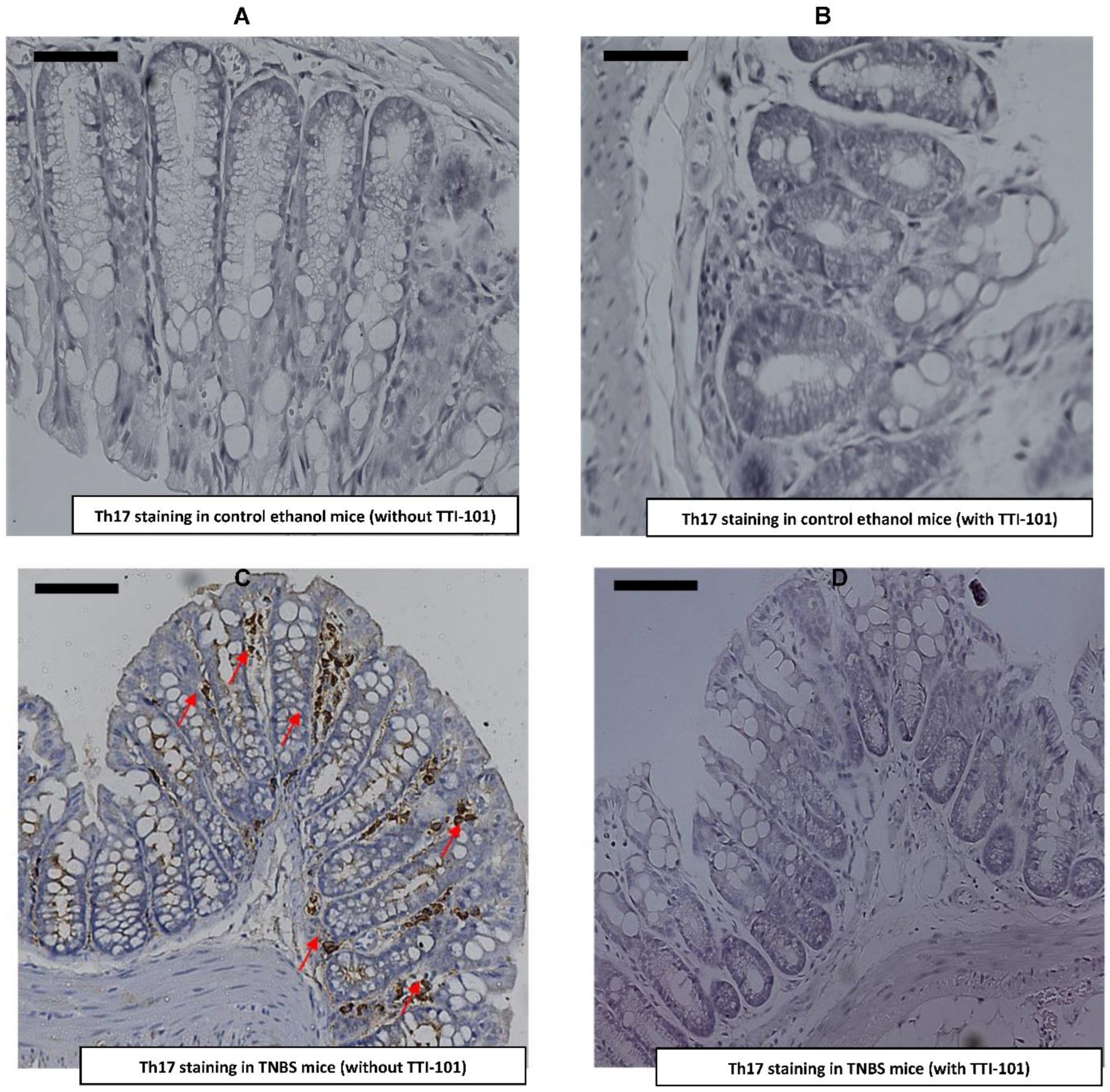 Jcm 11 07020 g005a Jcm 11 07020 g005a