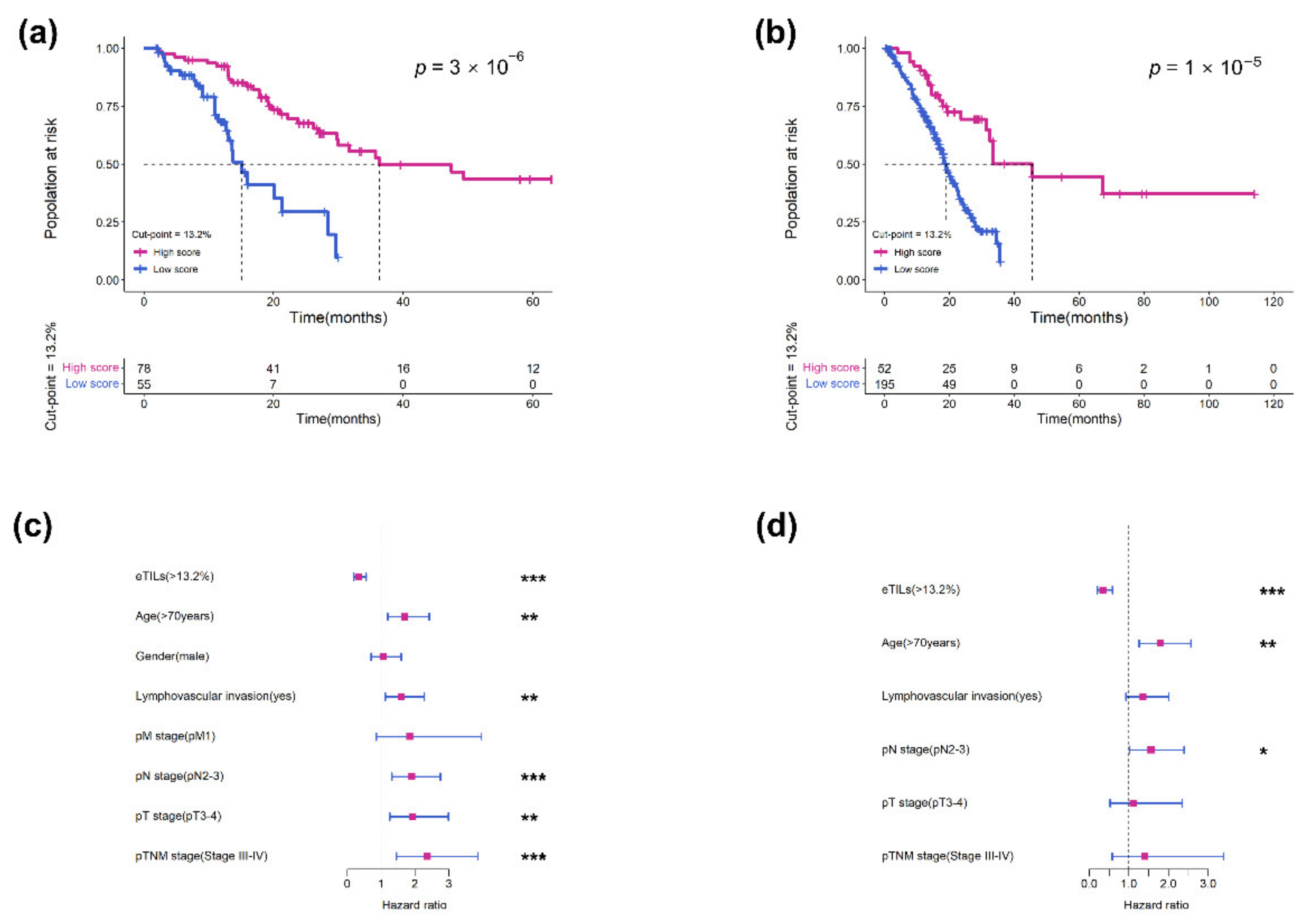 Jcm 11 07081 g003 Jcm 11 07081 g003