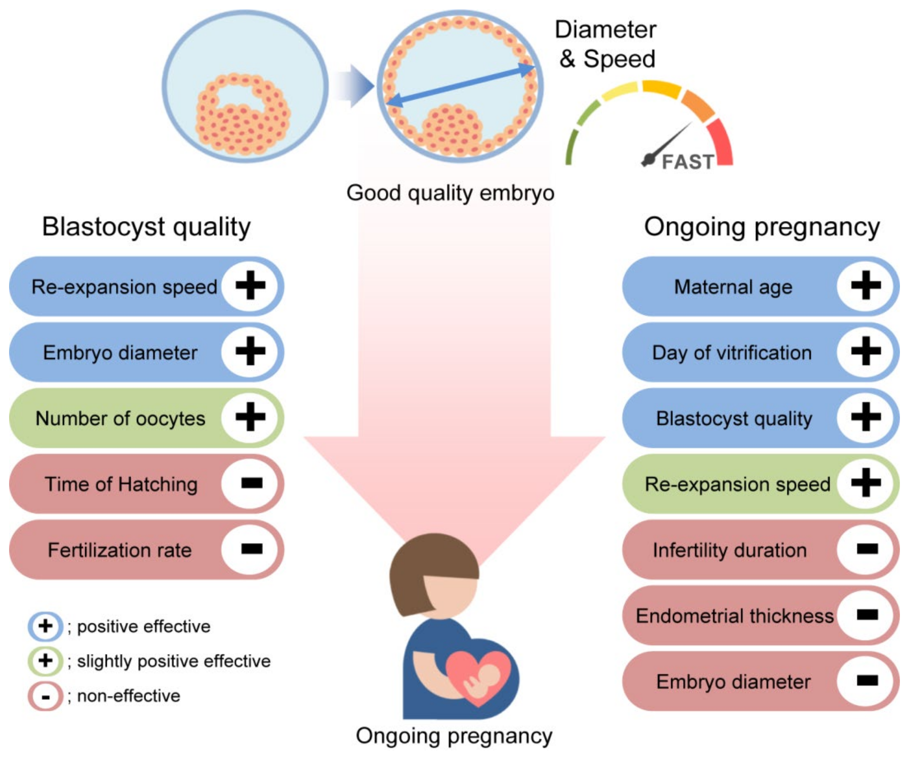 Jcm 11 07085 g004 Jcm 11 07085 g004