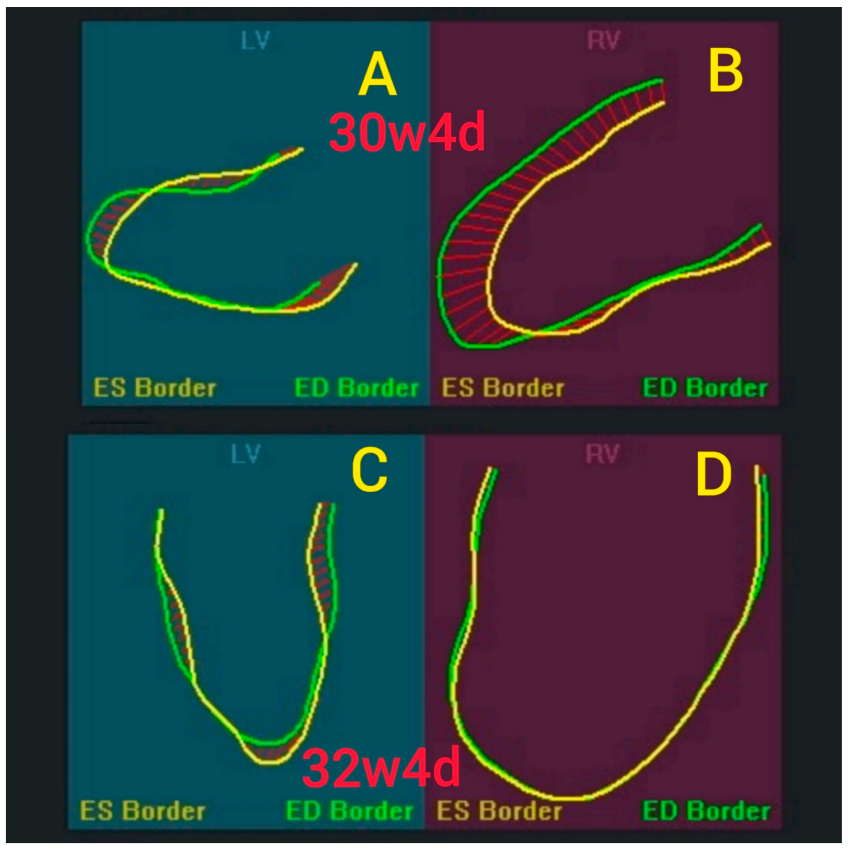 Jcm 11 07102 g001 Jcm 11 07102 g001