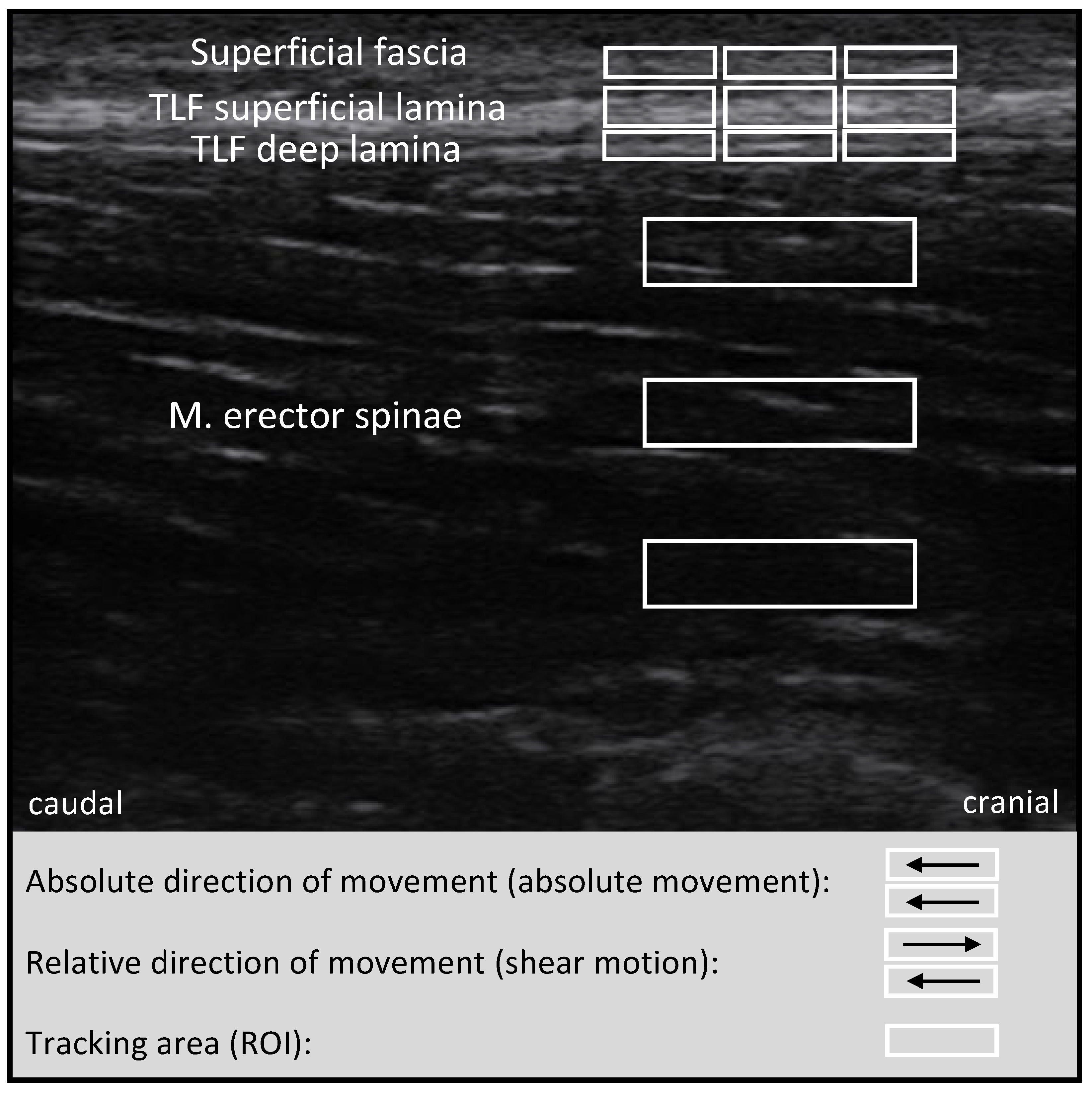 Jcm 11 07110 g003 Jcm 11 07110 g003