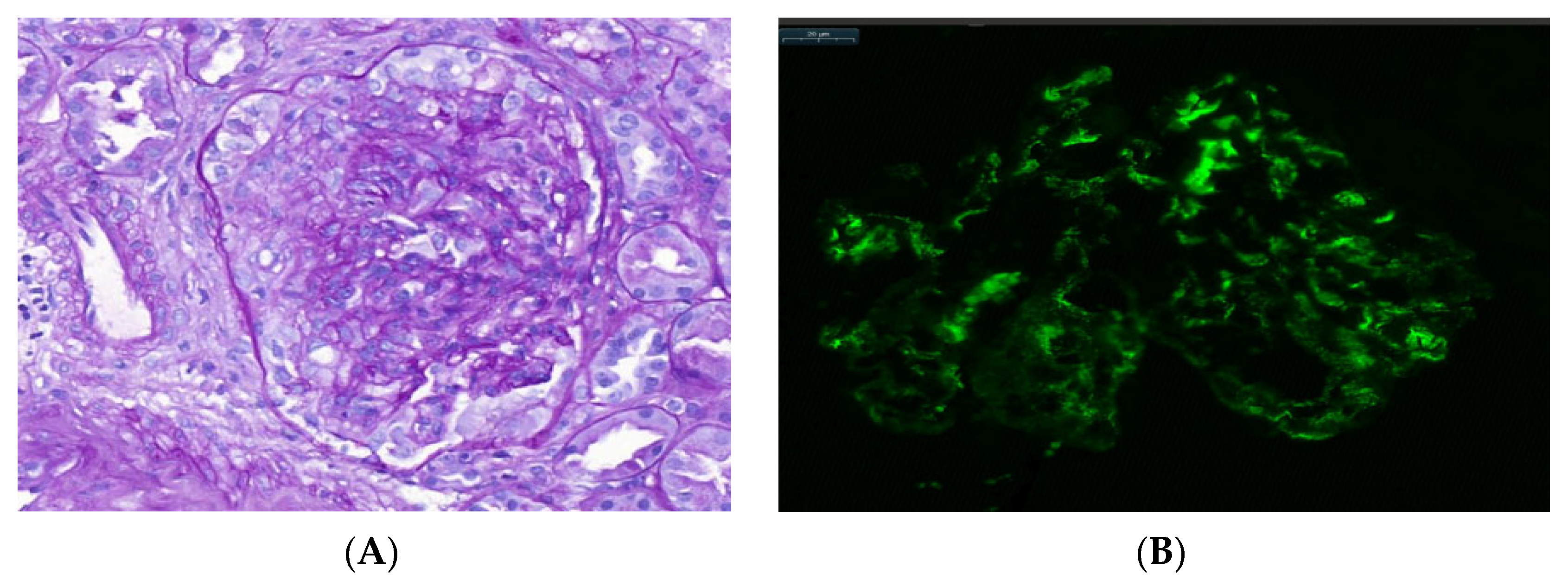 Jcm 11 07122 g001 Jcm 11 07122 g001