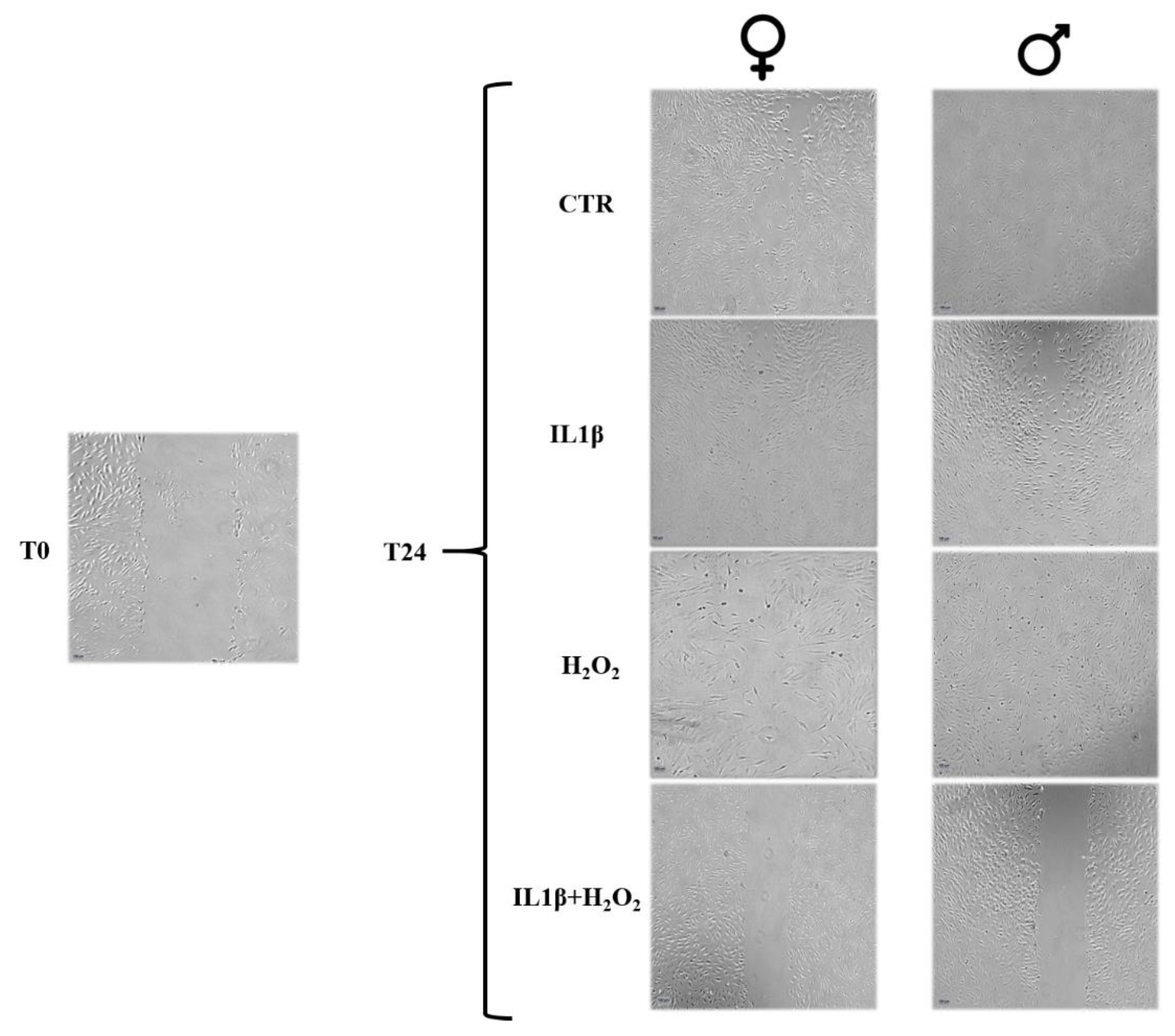 Jcm 11 07125 g003 Jcm 11 07125 g003