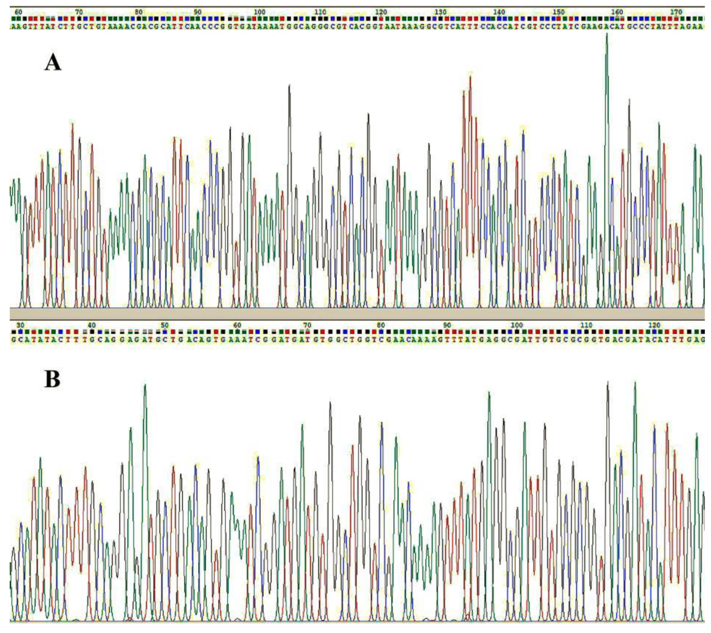 Jcm 11 07150 g002 Jcm 11 07150 g002