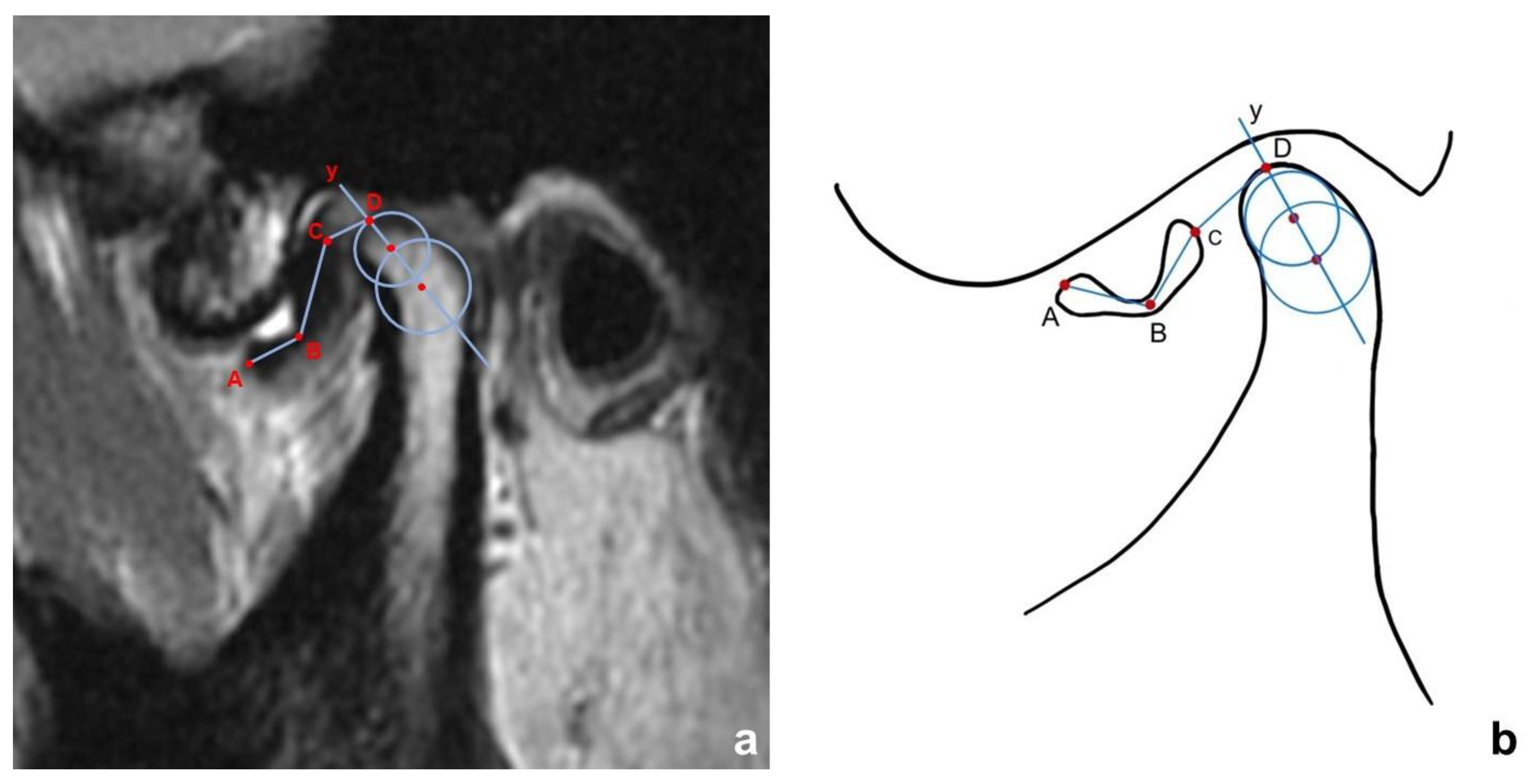 Jcm 11 07160 g001 Jcm 11 07160 g001