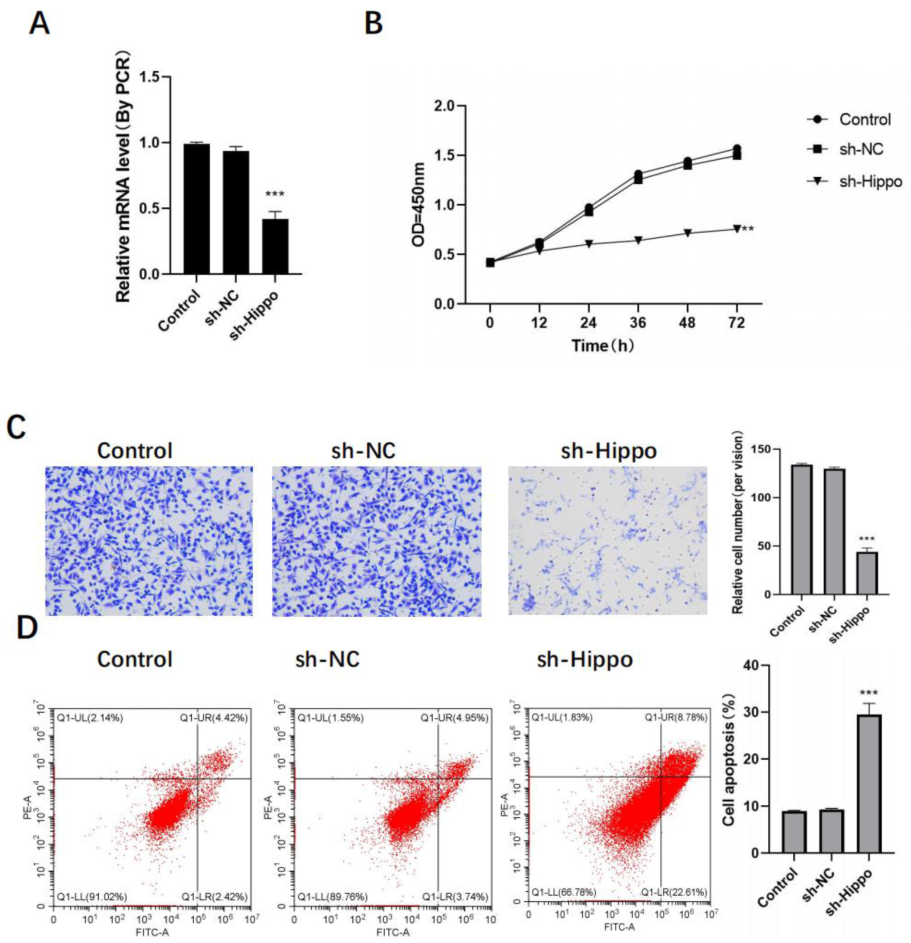 Jcm 11 07220 g003 550
