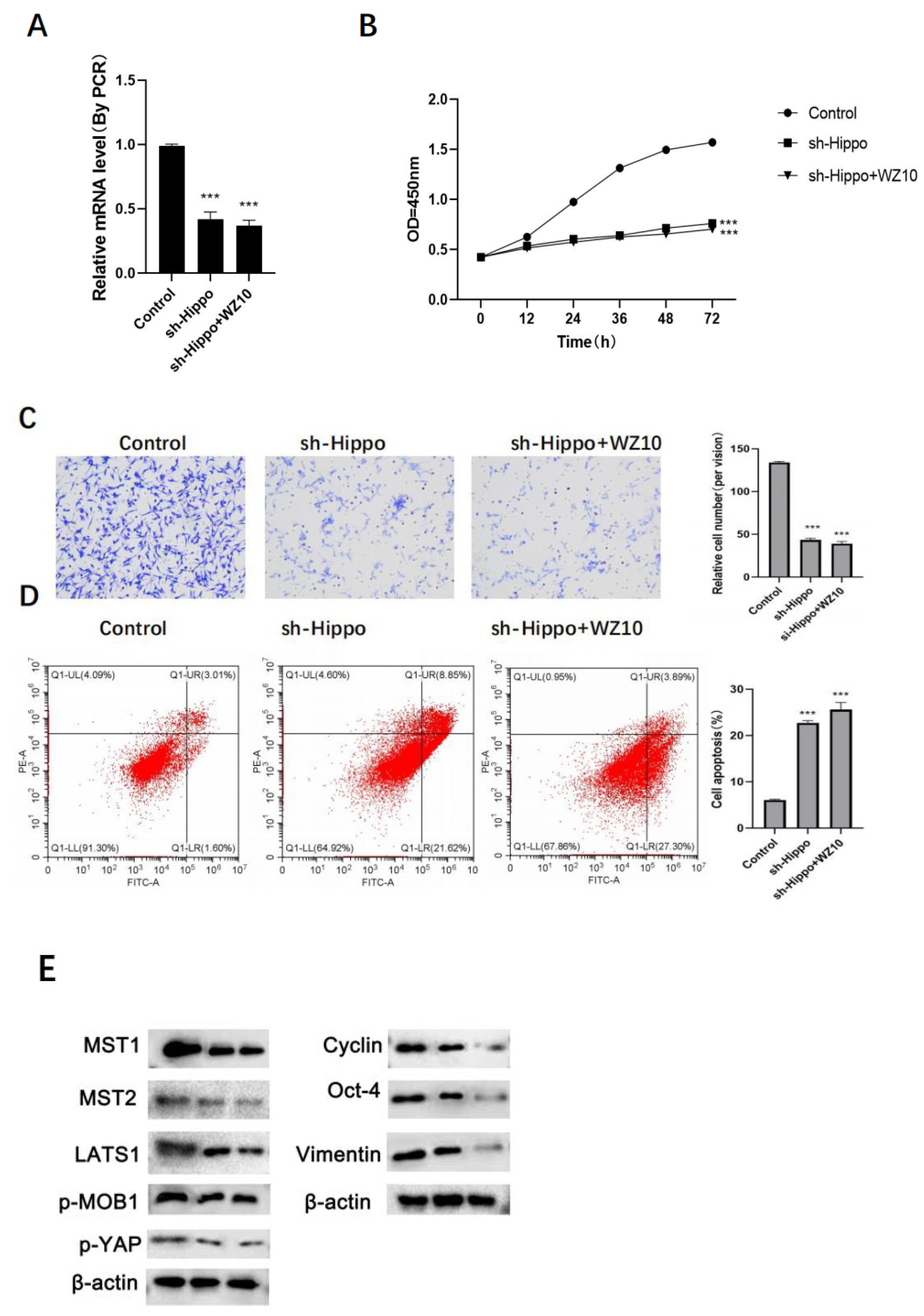 Jcm 11 07220 g004 550