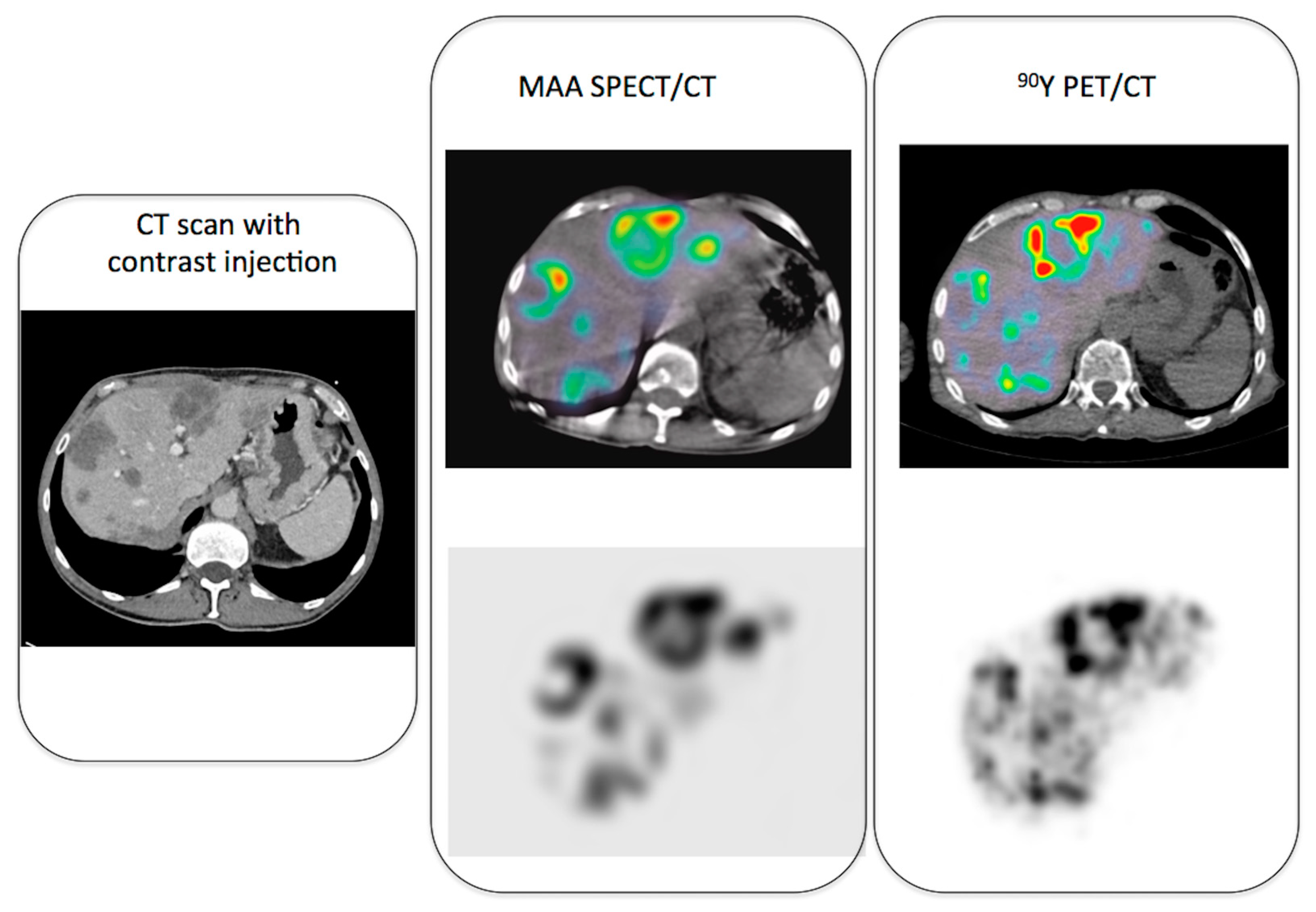 Jcm 11 07245 g001 Jcm 11 07245 g001