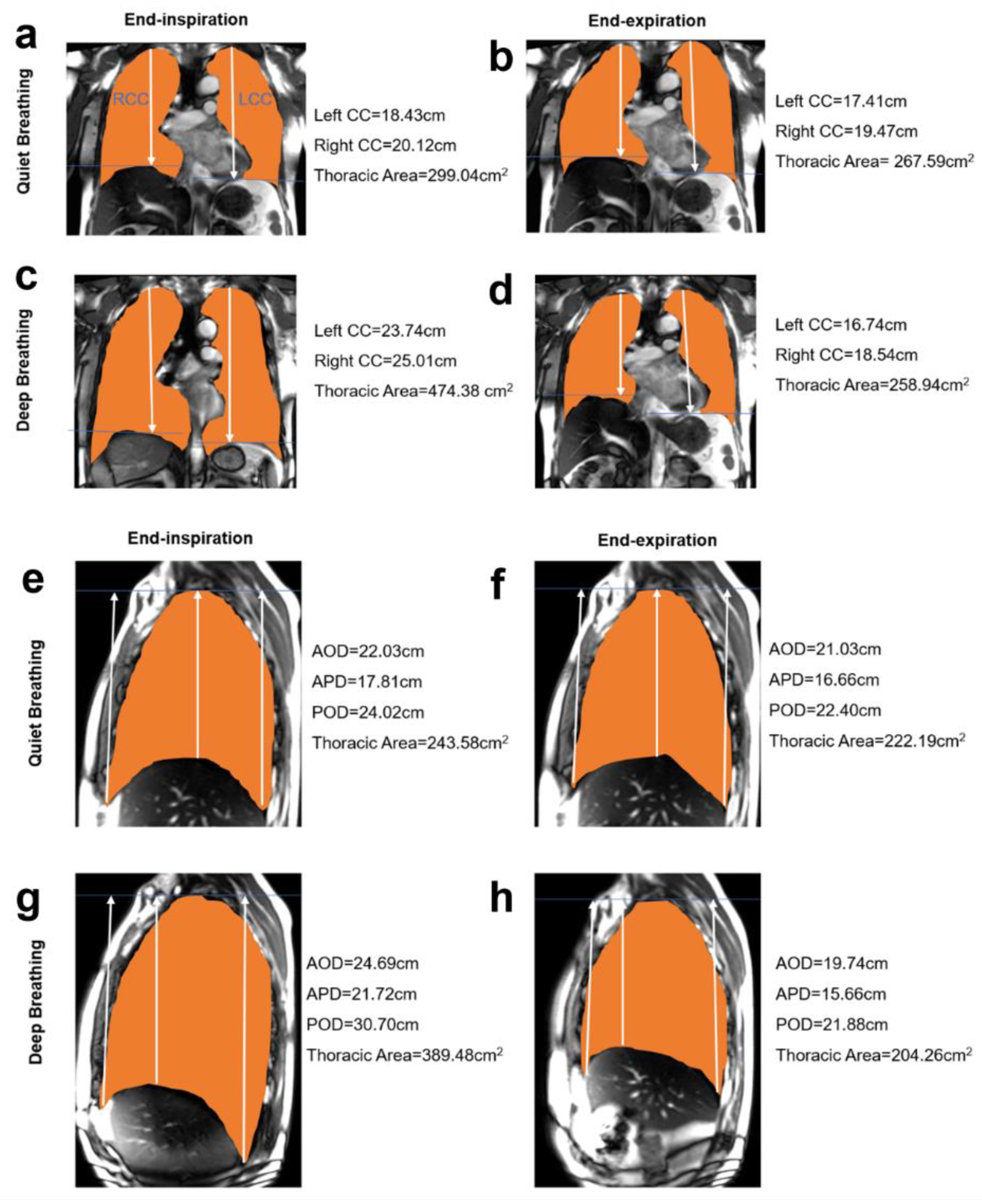 Jcm 11 07276 g005 Jcm 11 07276 g005
