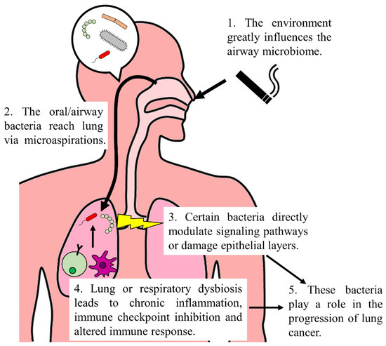 Microbial Biomarkers for Lung Cancer: Current Understandings