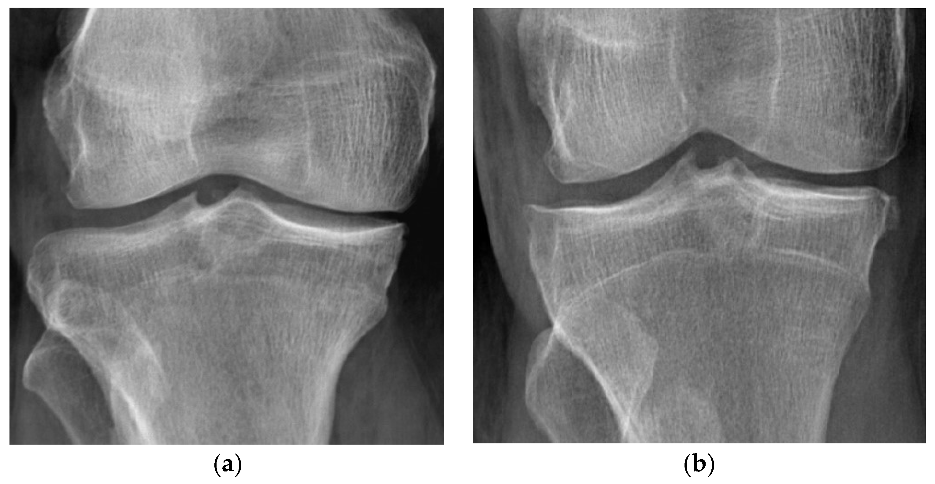 Jcm 11 07302 g001a Jcm 11 07302 g001a